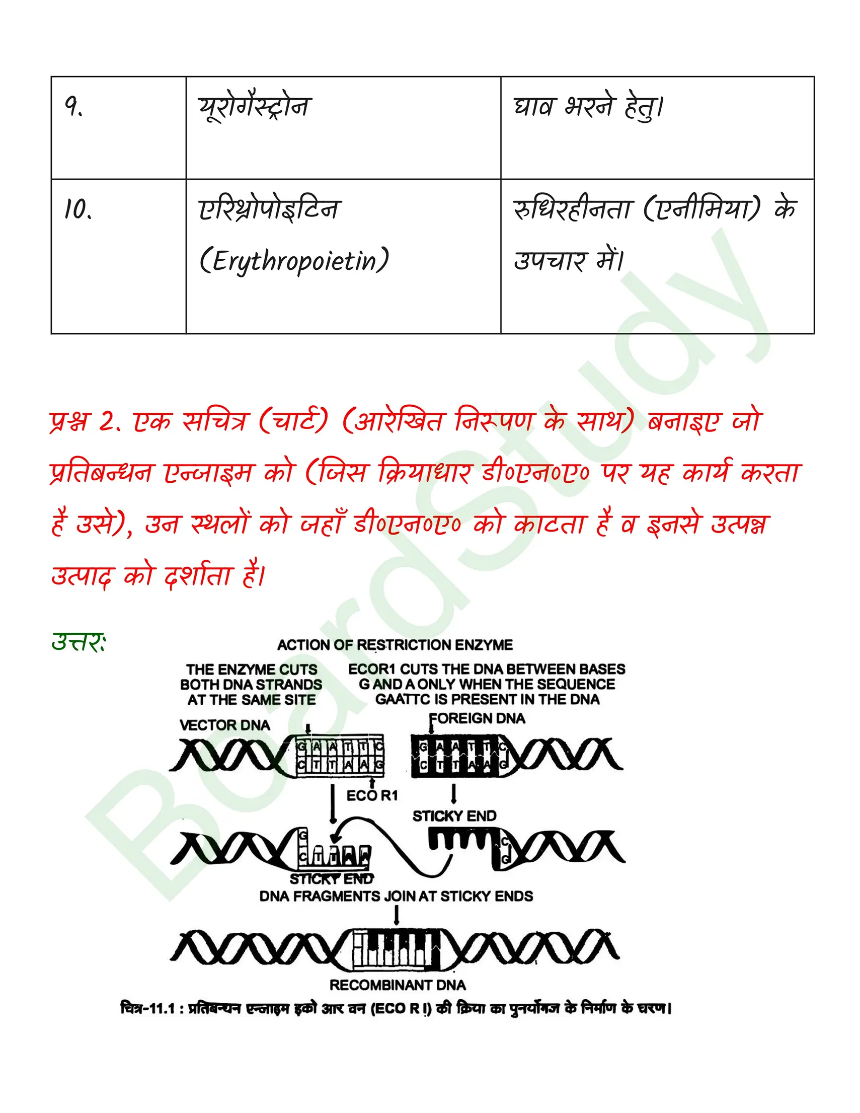 class 12 biology Biotechnology Principles and Processes solution in hindi page 0003