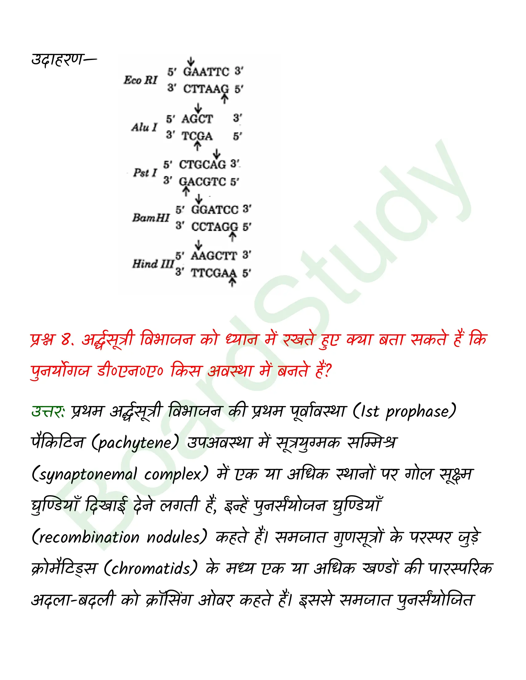 class 12 biology Biotechnology Principles and Processes solution in hindi page 0007