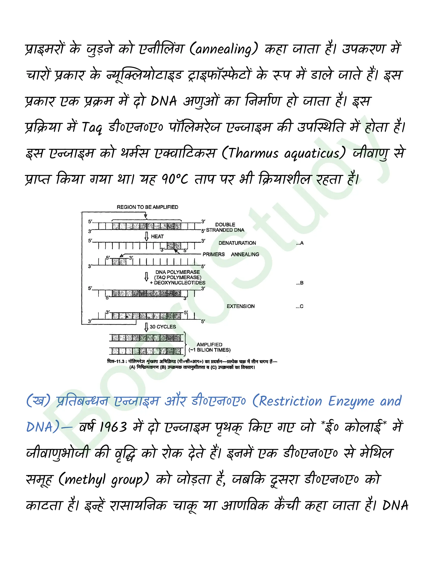 class 12 biology Biotechnology Principles and Processes solution in hindi page 0013
