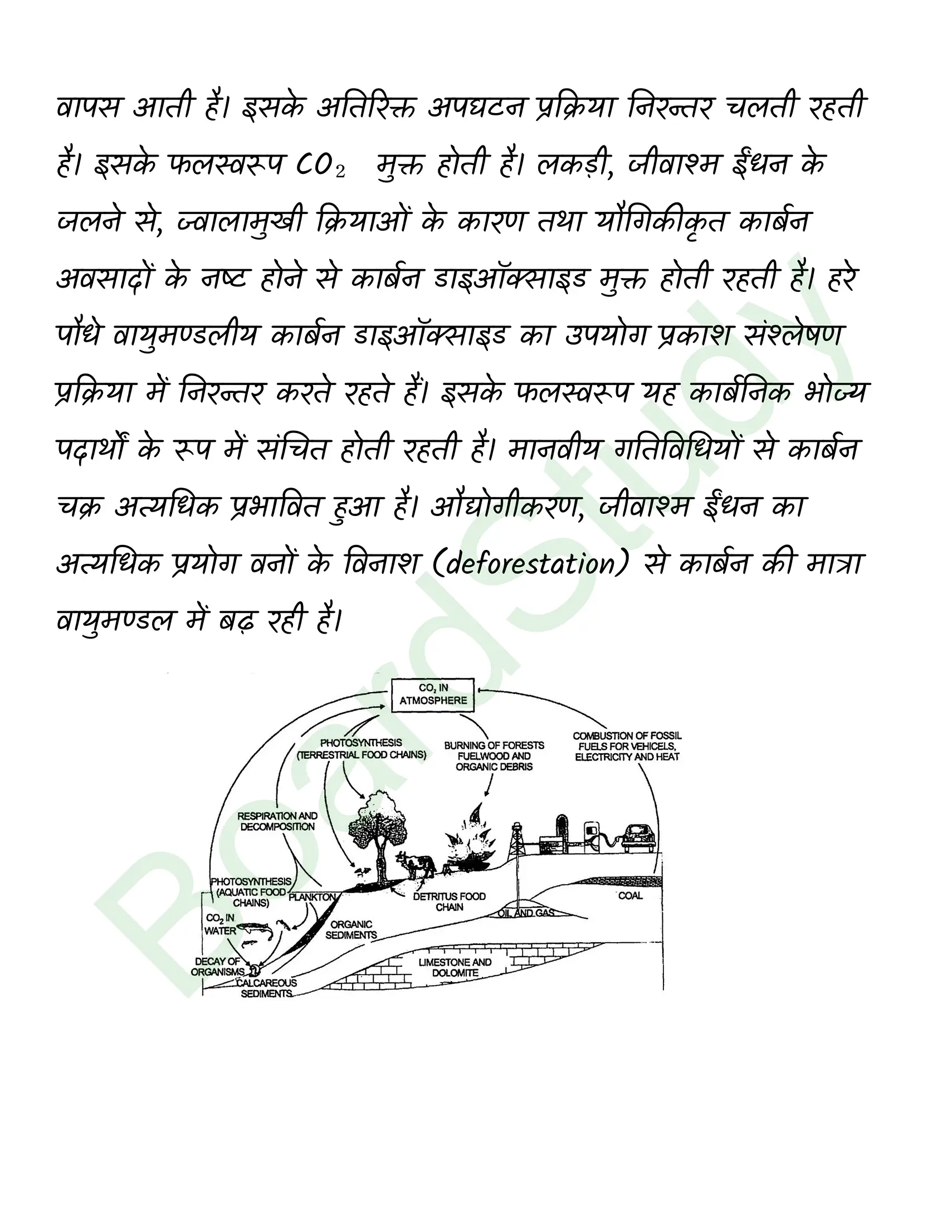 class 12 biology Ecosystem solution in hindi page 0025