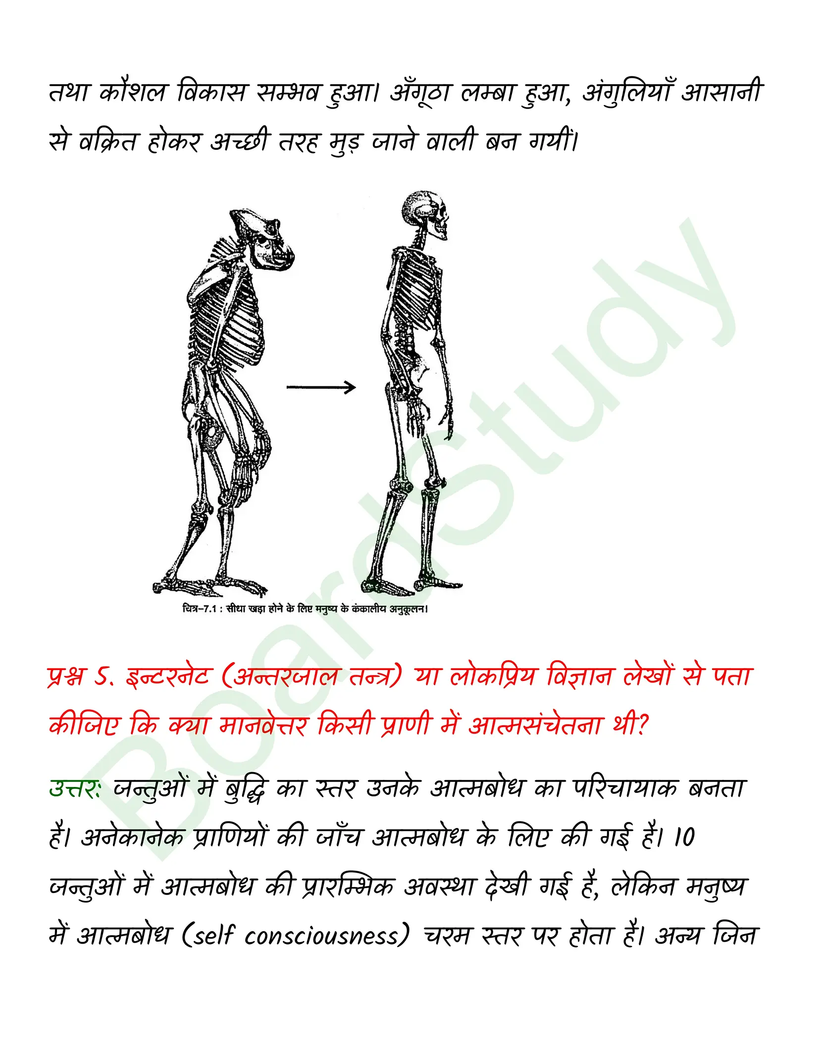 class 12 biology Evolution solution in hindi page 0006