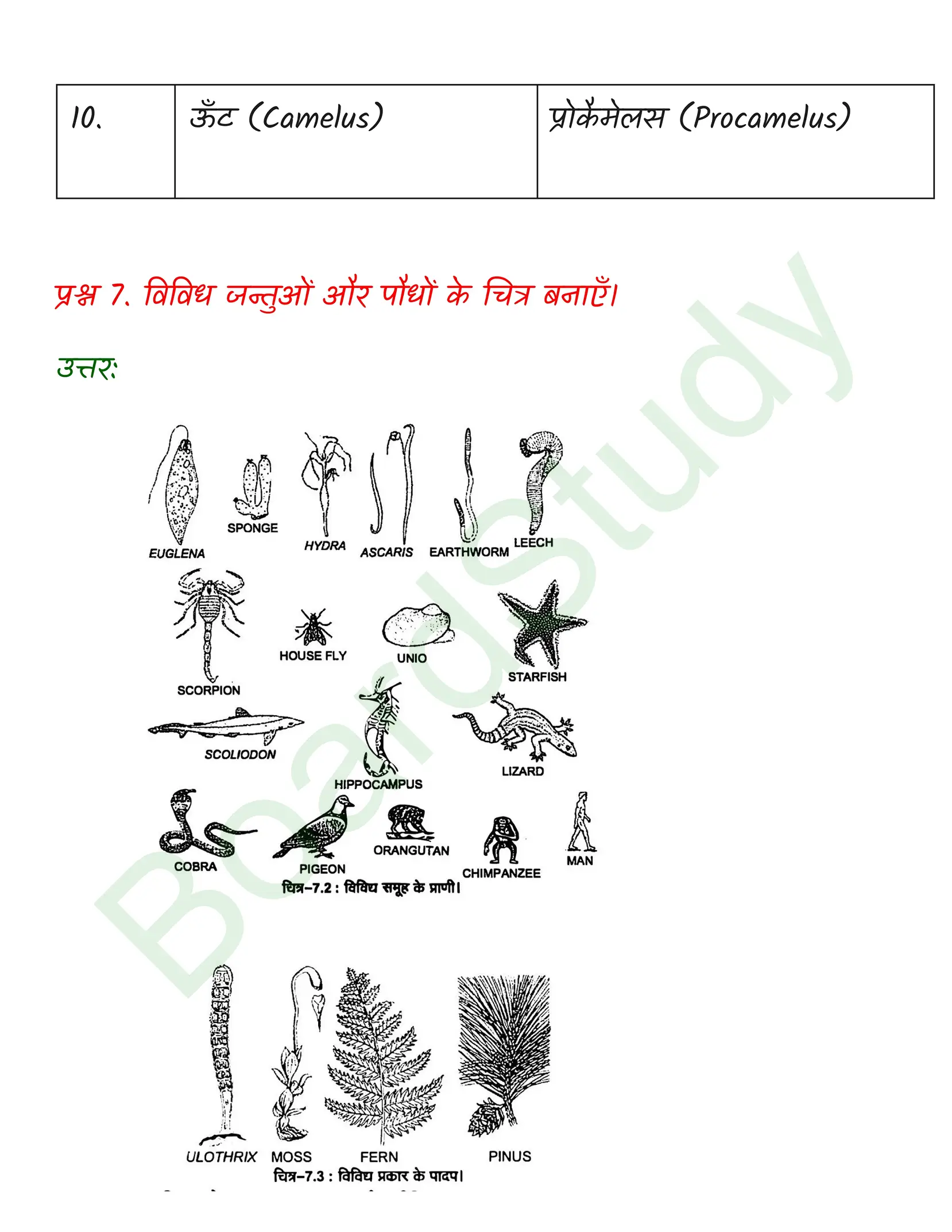 class 12 biology Evolution solution in hindi page 0009