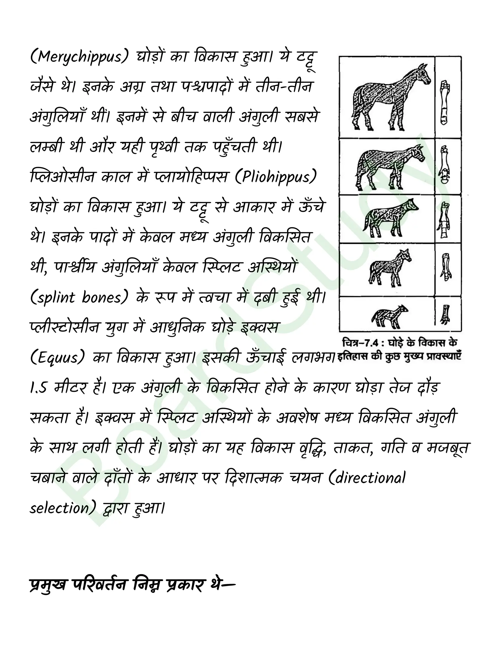 class 12 biology Evolution solution in hindi page 0012