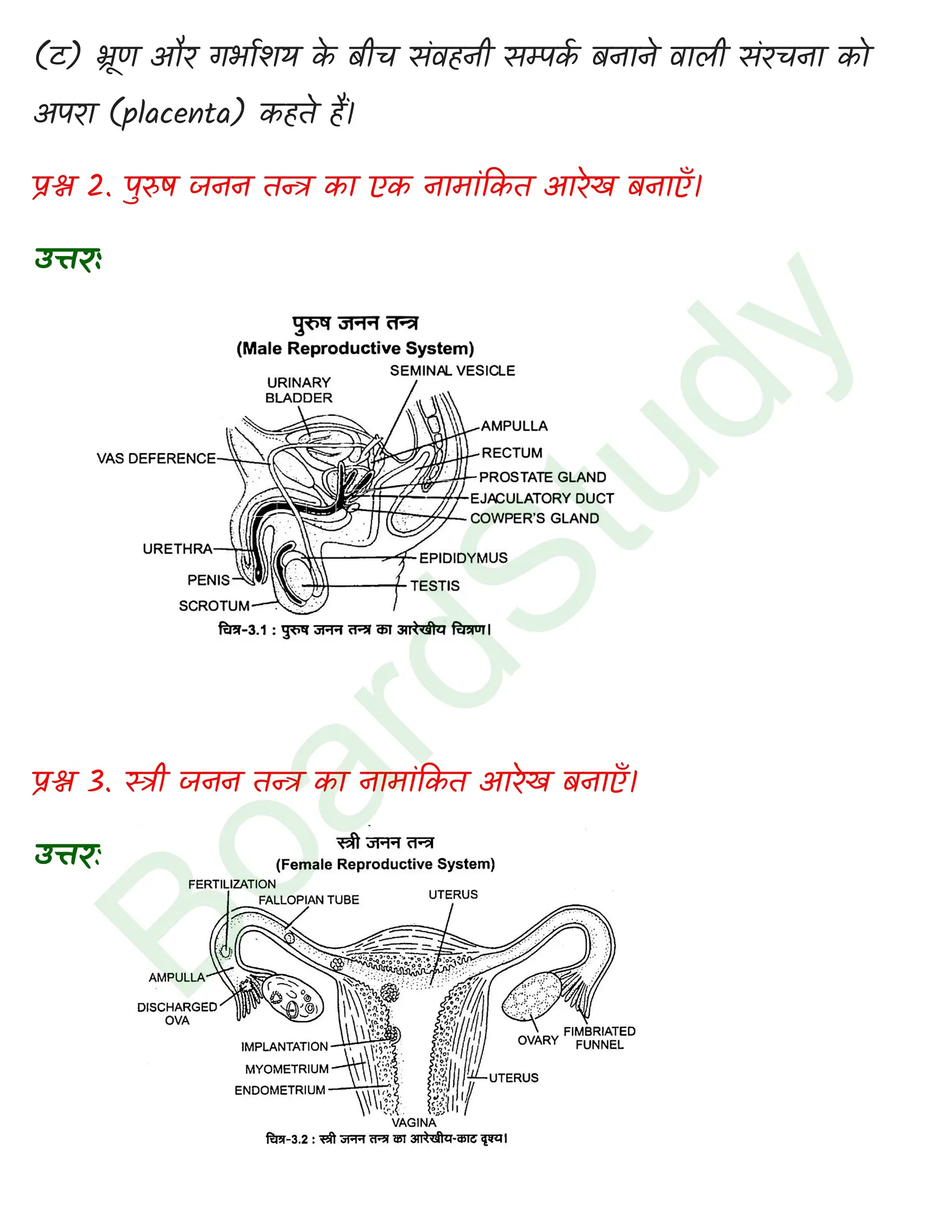 class 12 biology Human Reproduction solution in hindi page 0003