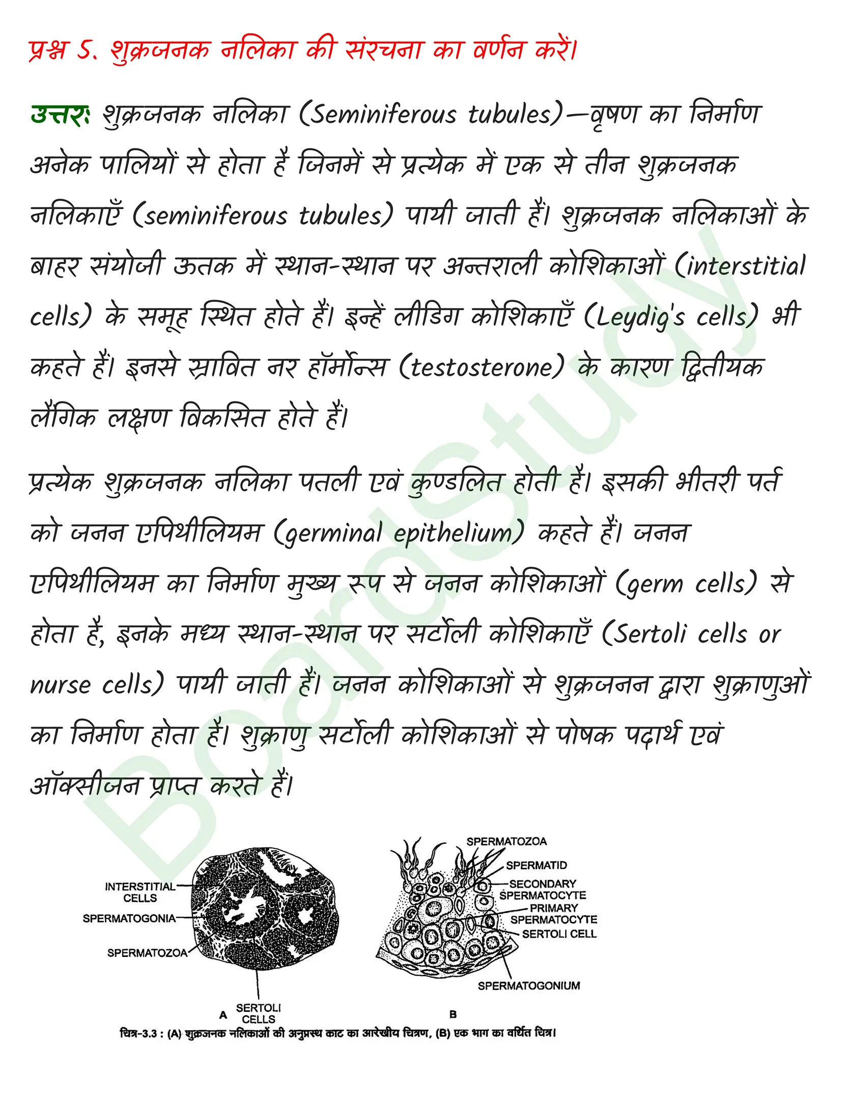 class 12 biology Human Reproduction solution in hindi page 0005