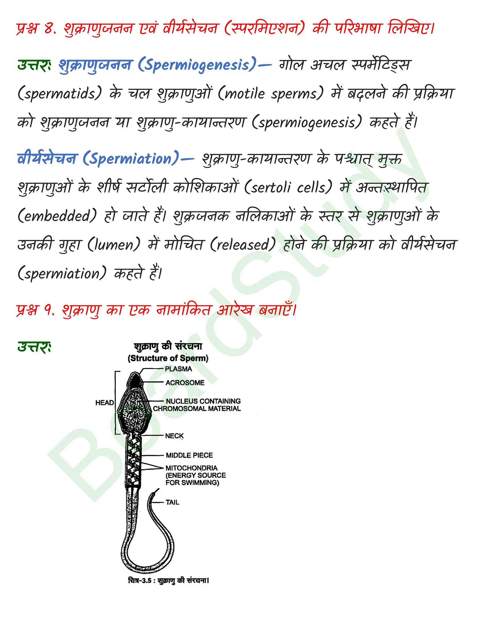 class 12 biology Human Reproduction solution in hindi page 0008