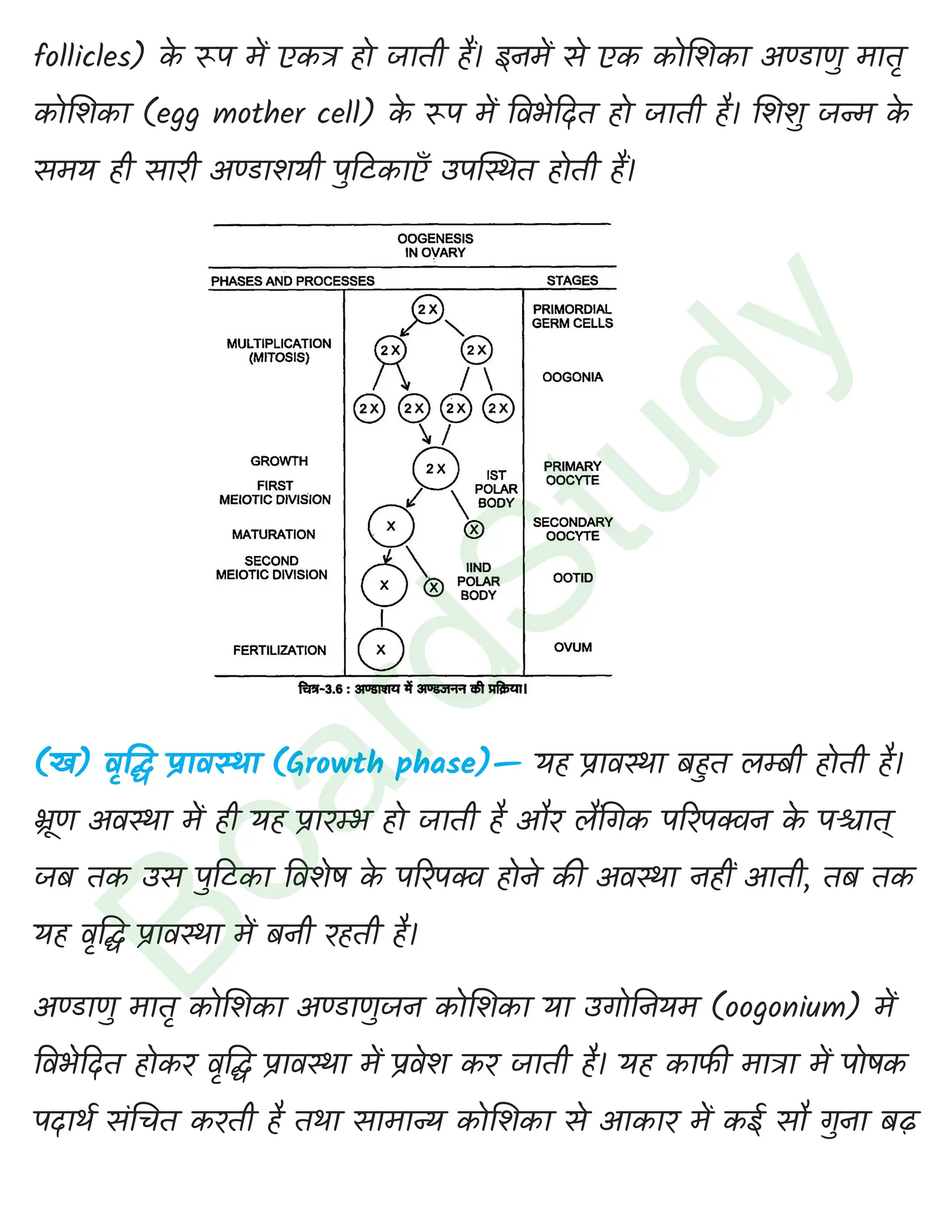 class 12 biology Human Reproduction solution in hindi page 0011