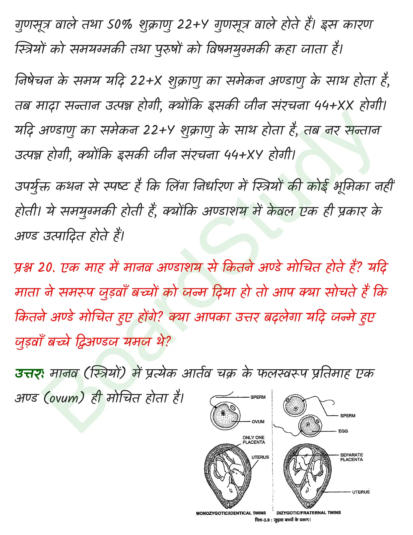 class 12 biology Human Reproduction solution in hindi page 0019