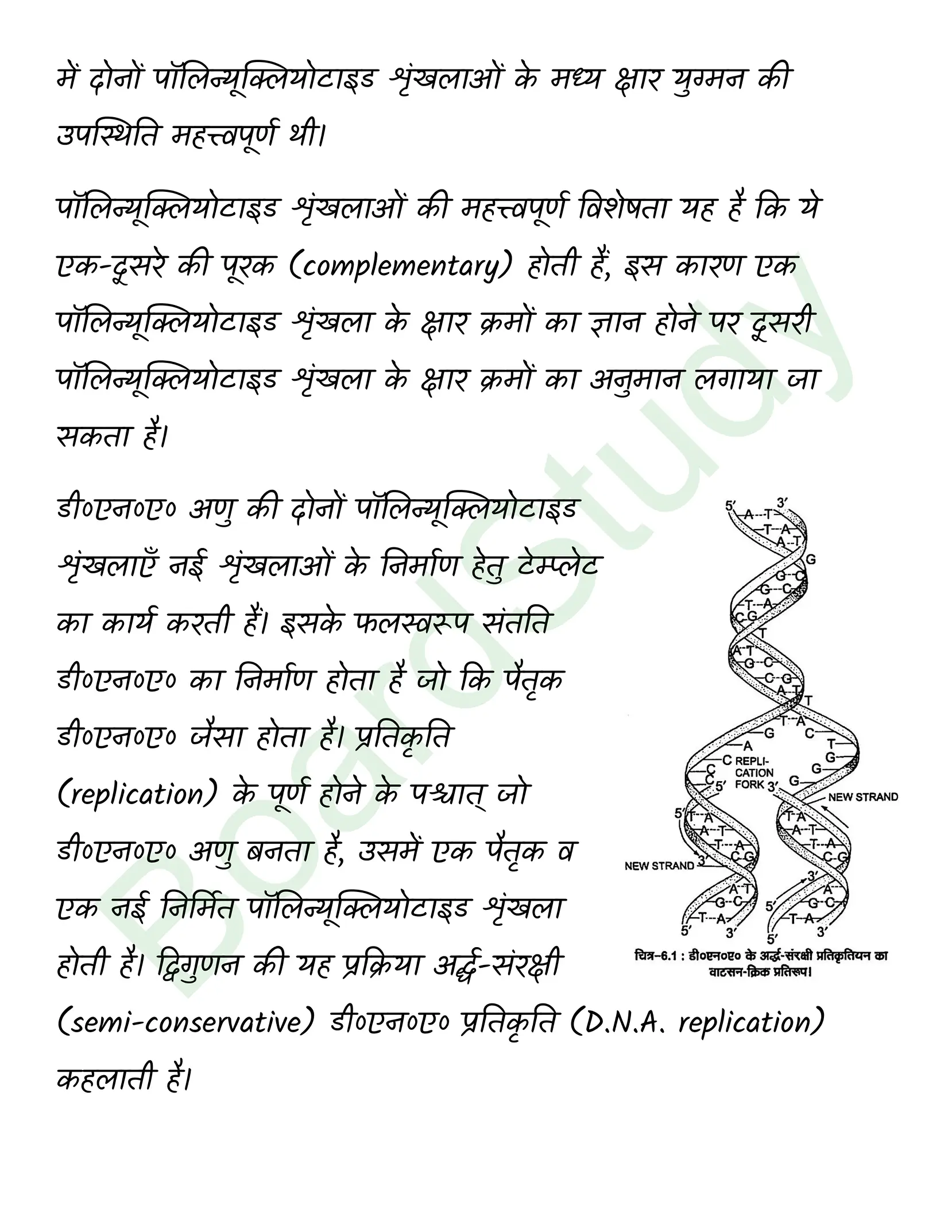 class 12 biology Molecular Basis of Inheritance solution in hindi page 0004