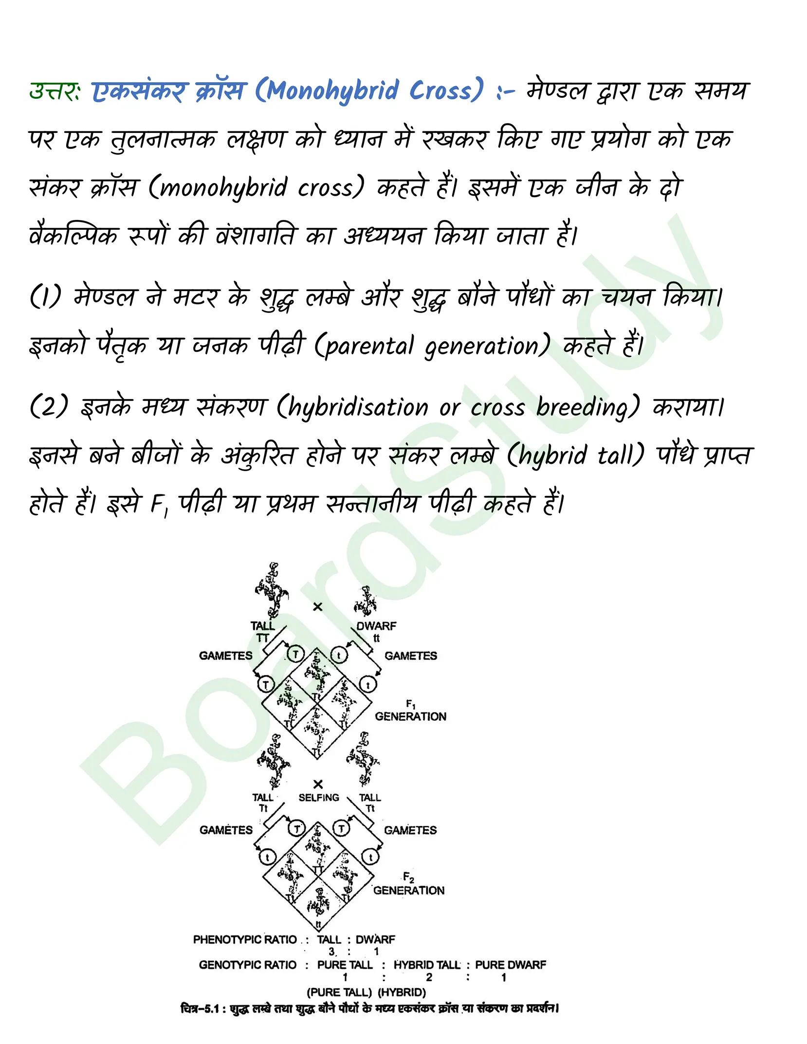 class 12 biology Principles of Inheritance and Variation solution in hindi page 0005