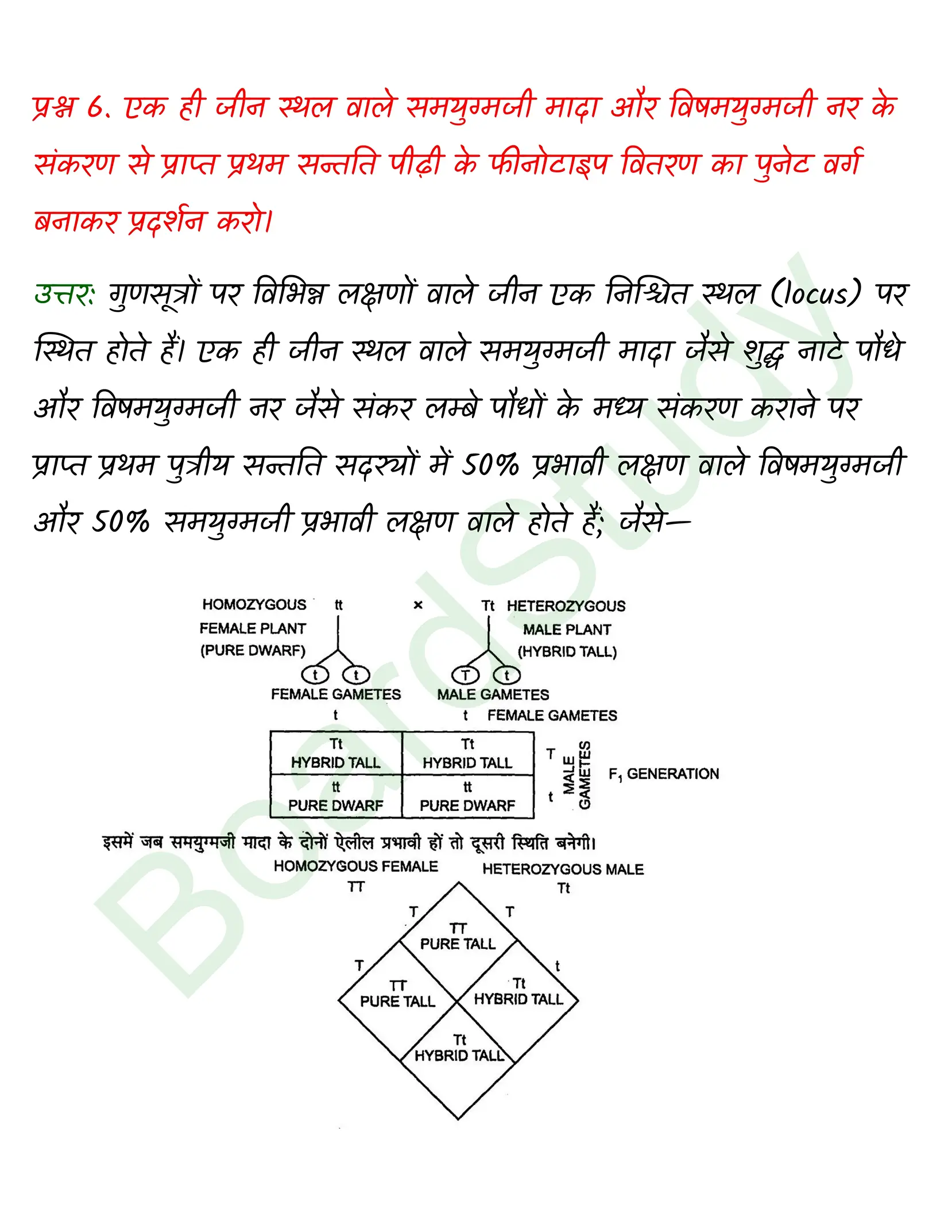 class 12 biology Principles of Inheritance and Variation solution in hindi page 0008