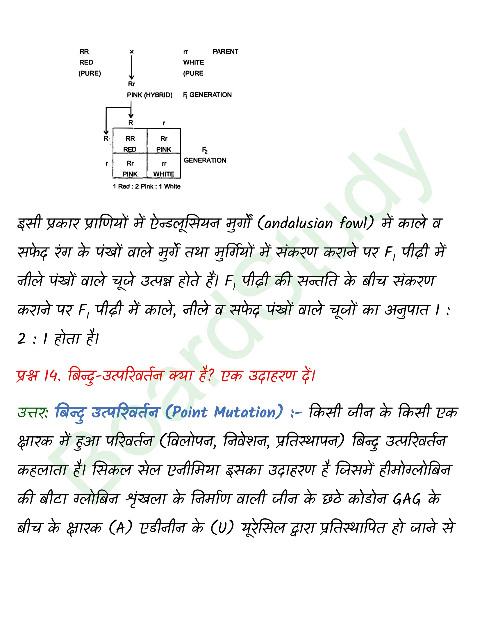 class 12 biology Principles of Inheritance and Variation solution in hindi page 0017