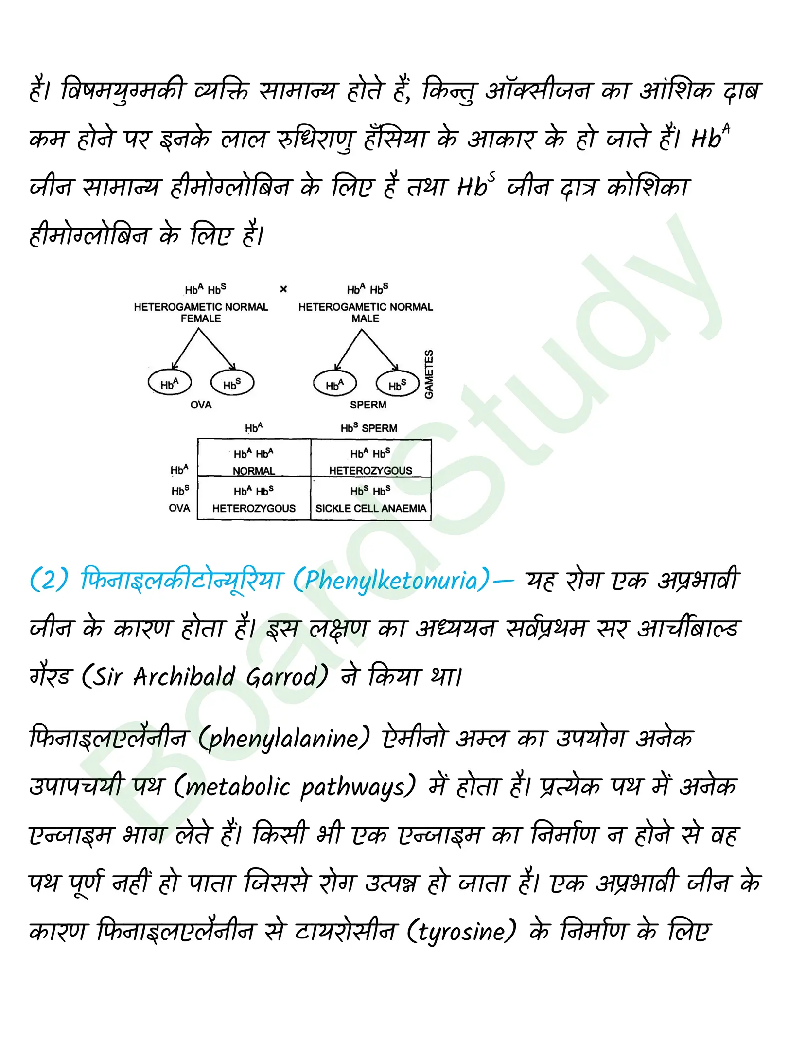 class 12 biology Principles of Inheritance and Variation solution in hindi page 0019