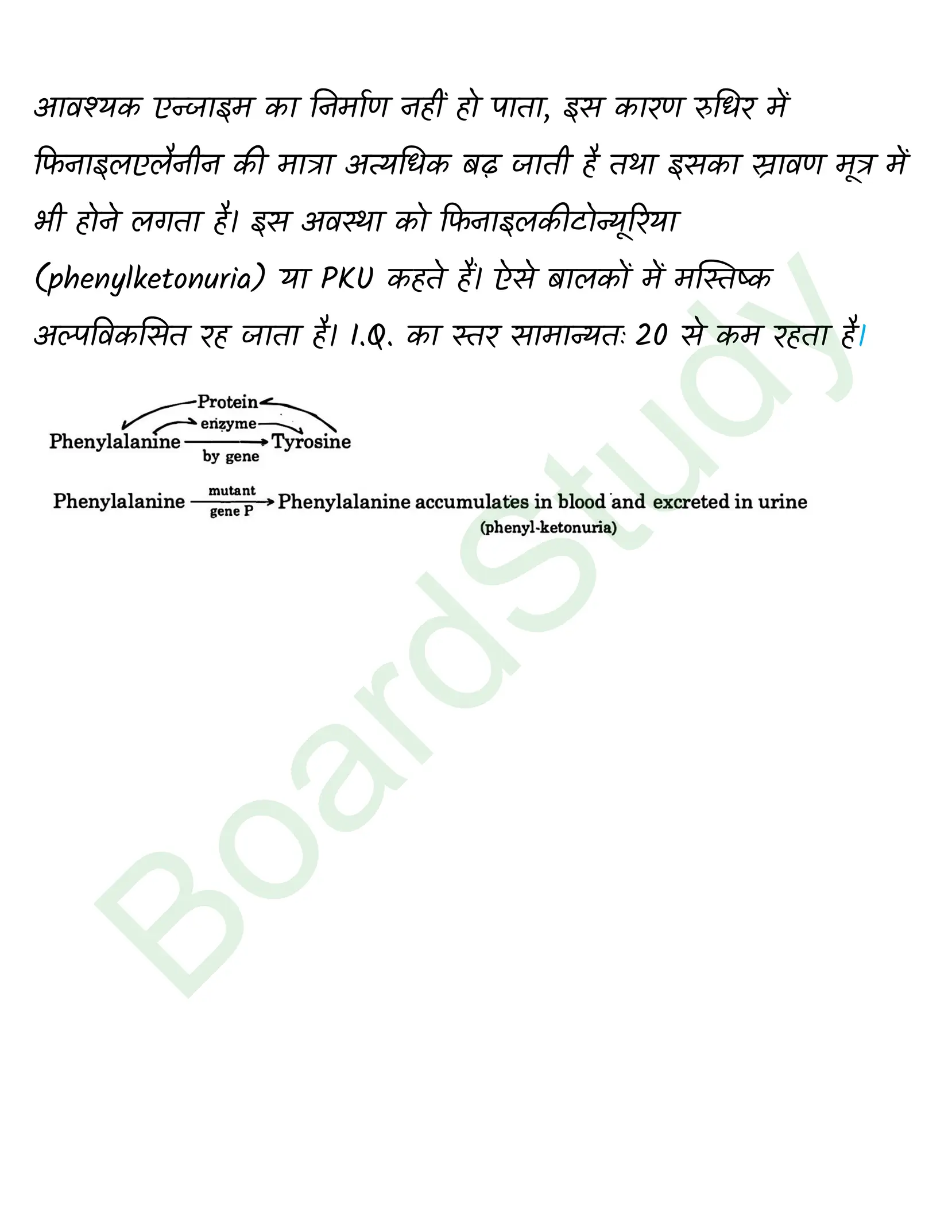 class 12 biology Principles of Inheritance and Variation solution in hindi page 0020
