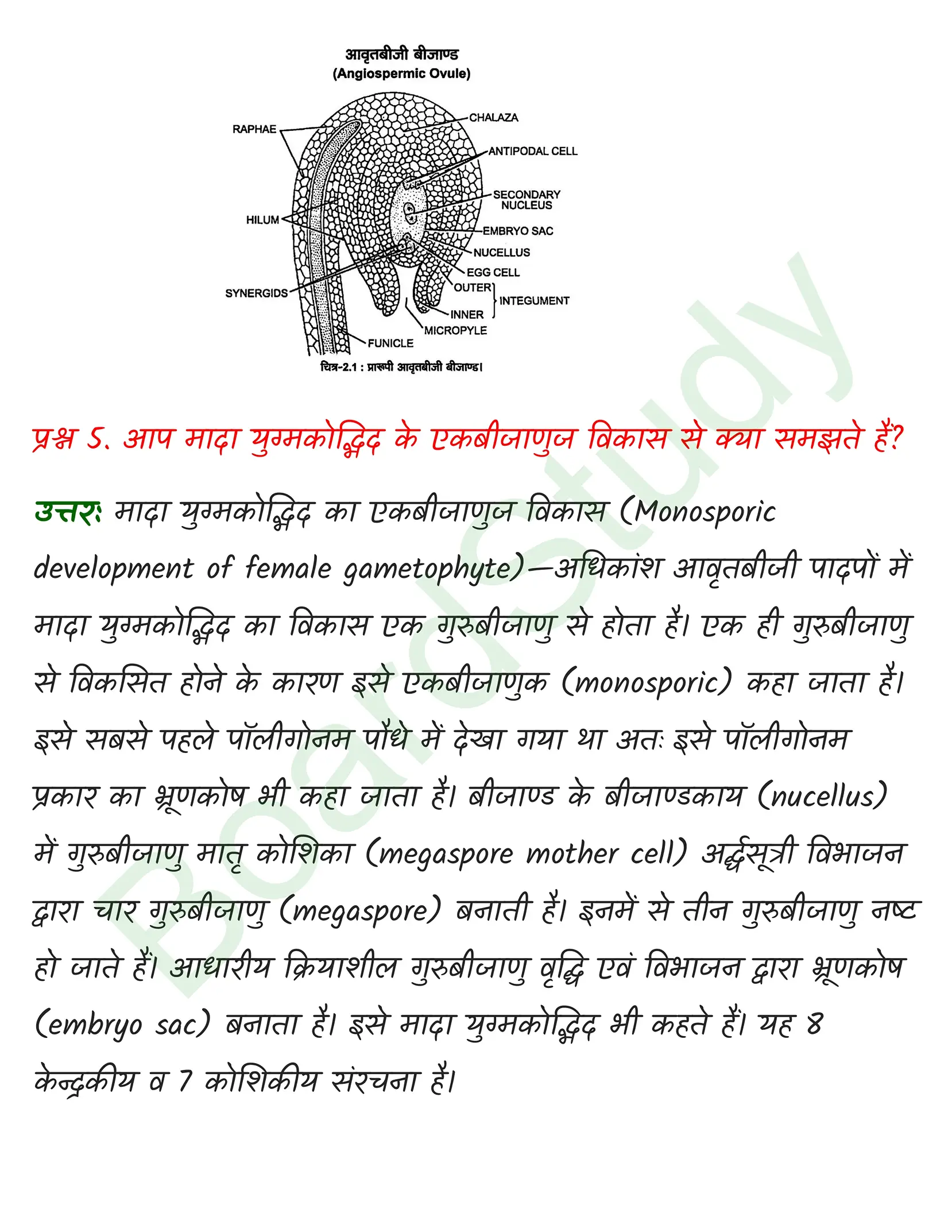 class 12 biology Sexual Reproduction in Flowering Plants solution in hindi page 0004