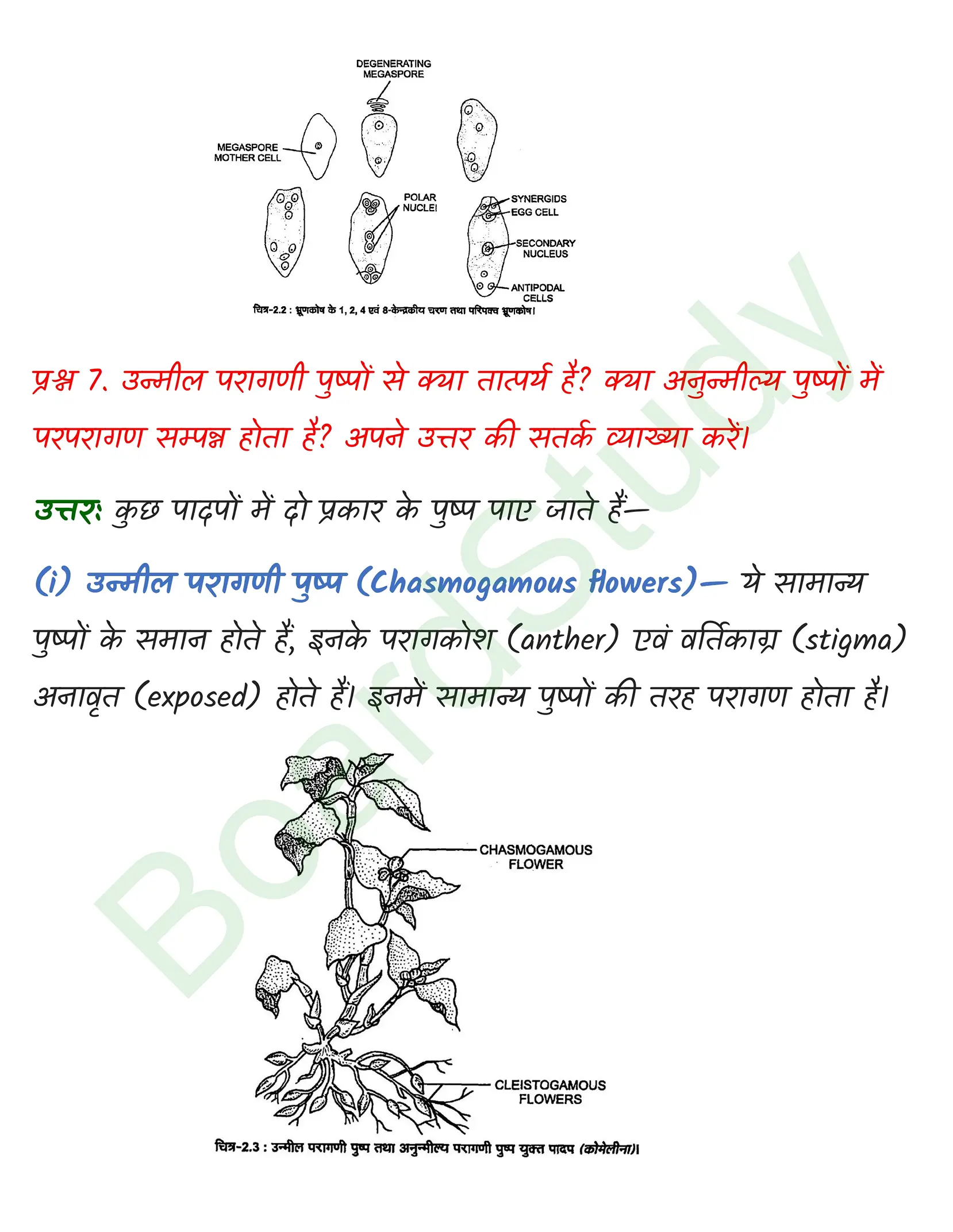 class 12 biology Sexual Reproduction in Flowering Plants solution in hindi page 0006