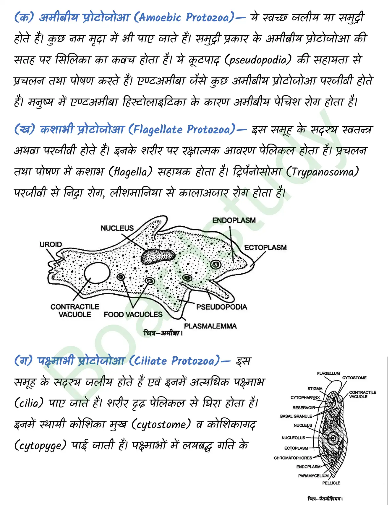 Biology Chapter 2 Transcript. page 0005