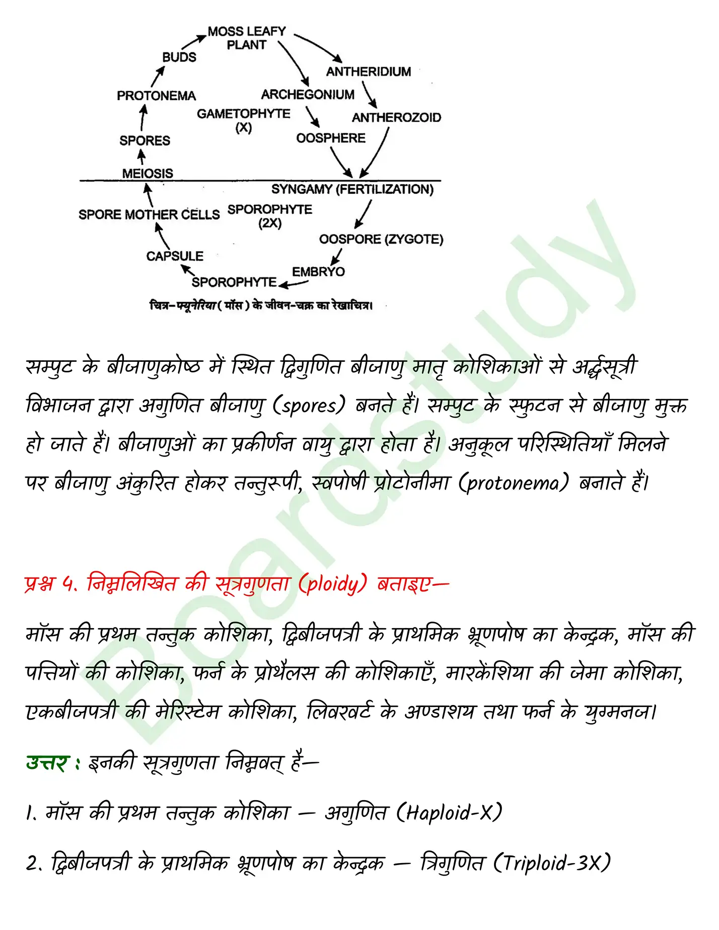 Biology Chapter 3 page 0003