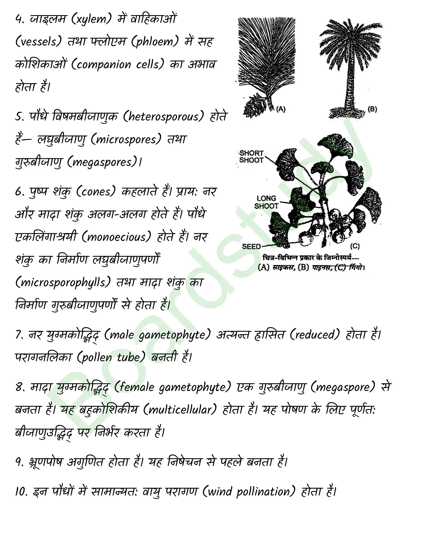 Biology Chapter 3 page 0019