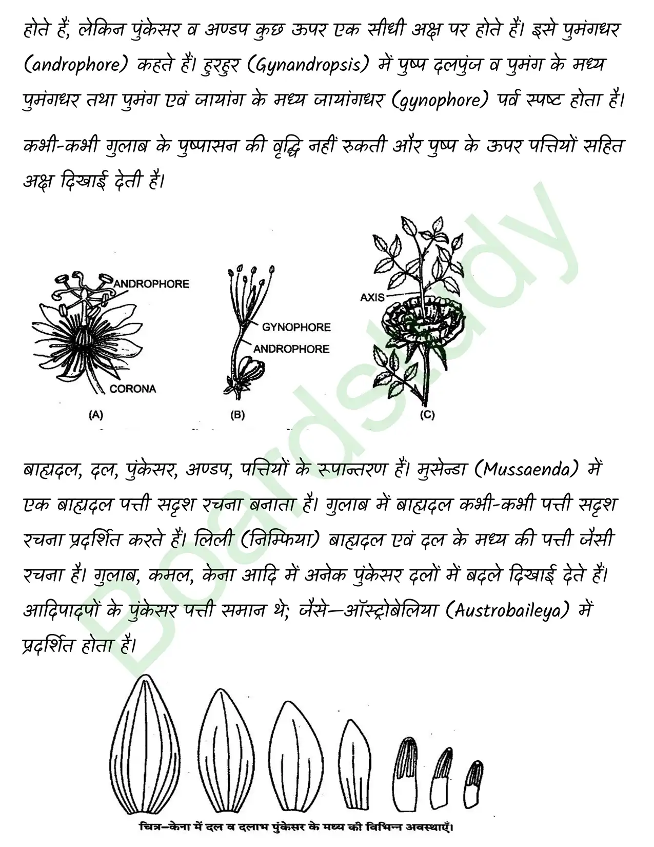 Biology Chapter 5 page 0003