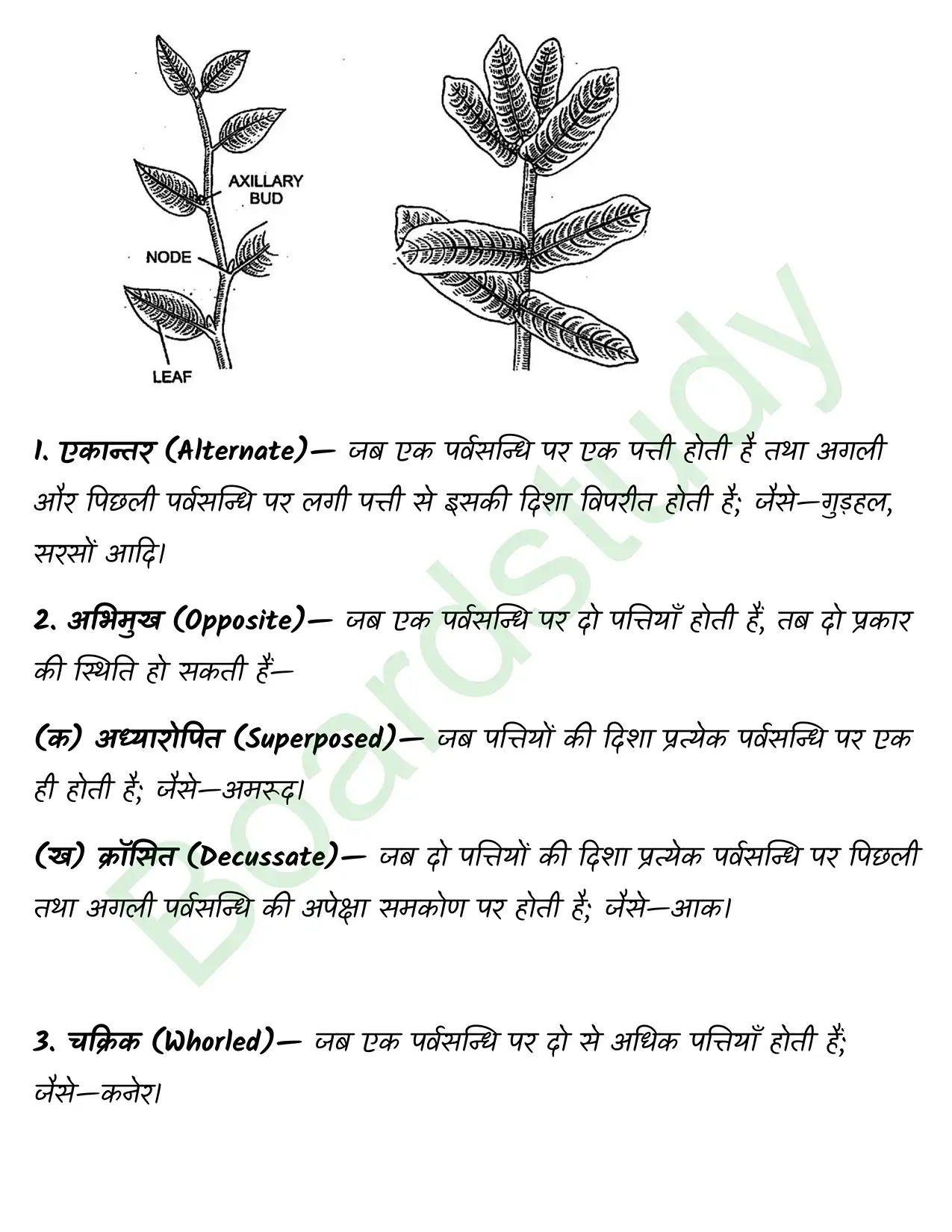 Biology Chapter 5 page 0005