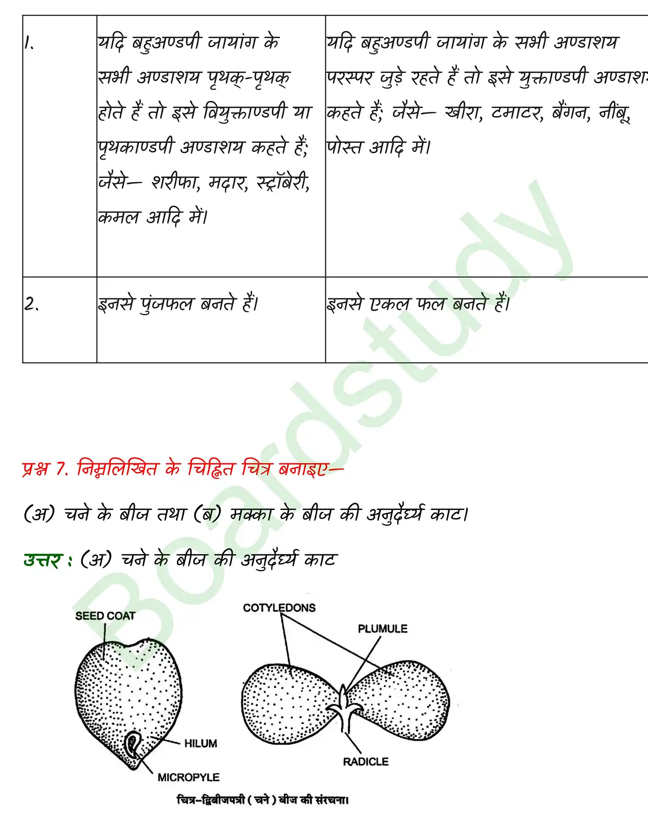 Biology Chapter 5 page 0010
