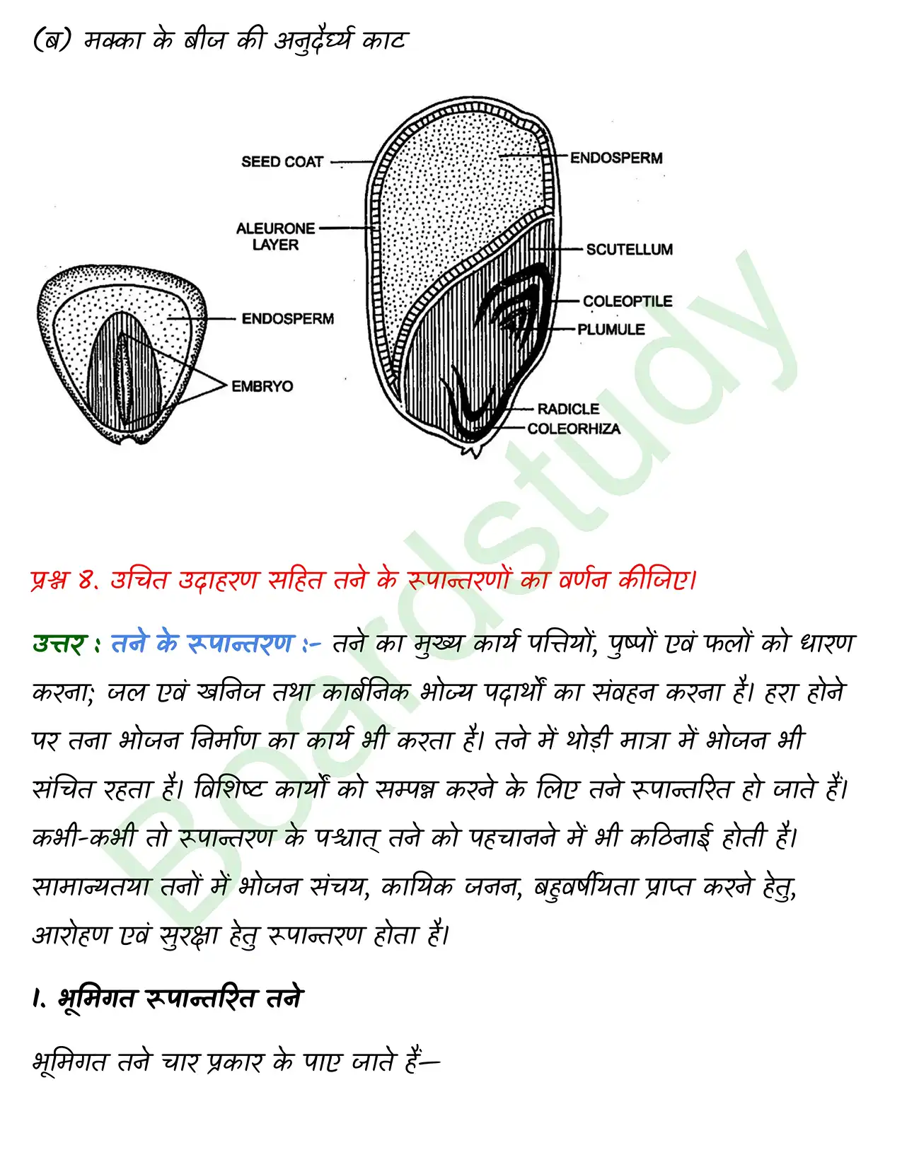 Biology Chapter 5 page 0011