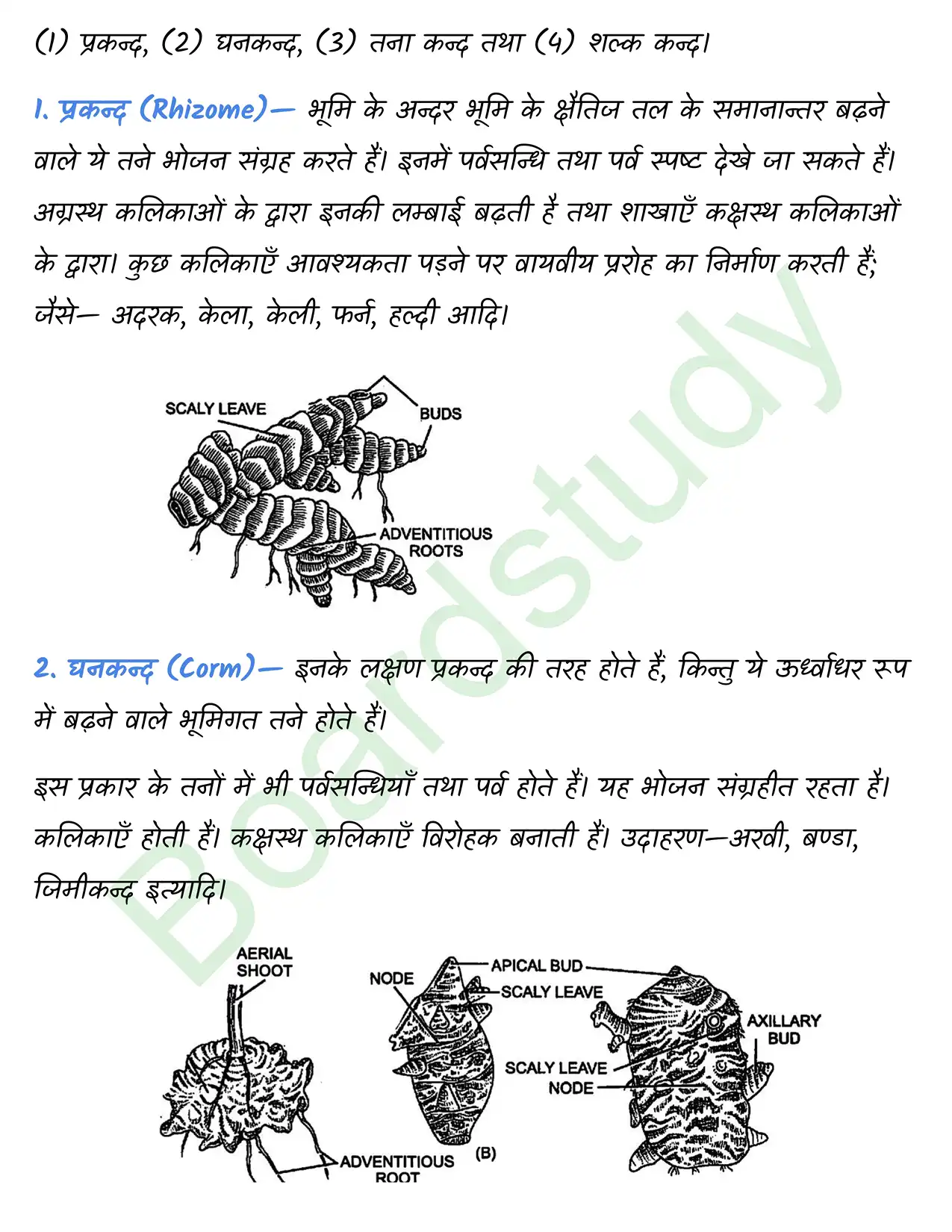 Biology Chapter 5 page 0012