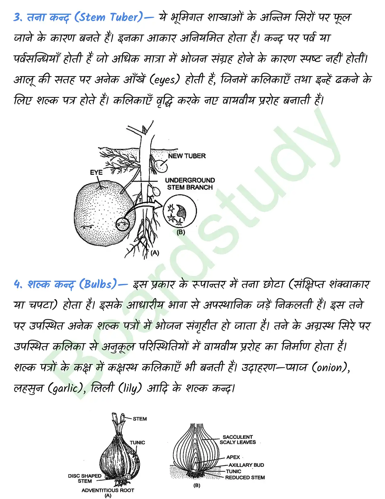Biology Chapter 5 page 0013