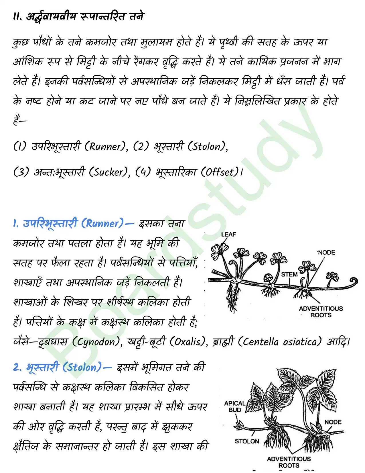 Biology Chapter 5 page 0014