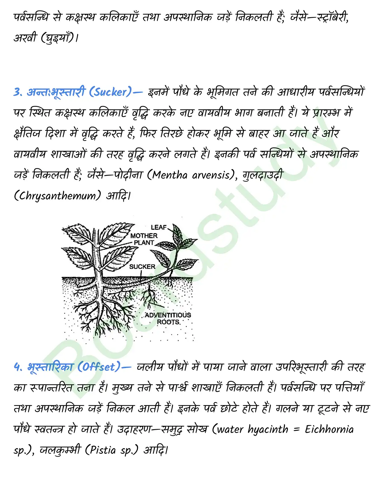 Biology Chapter 5 page 0015