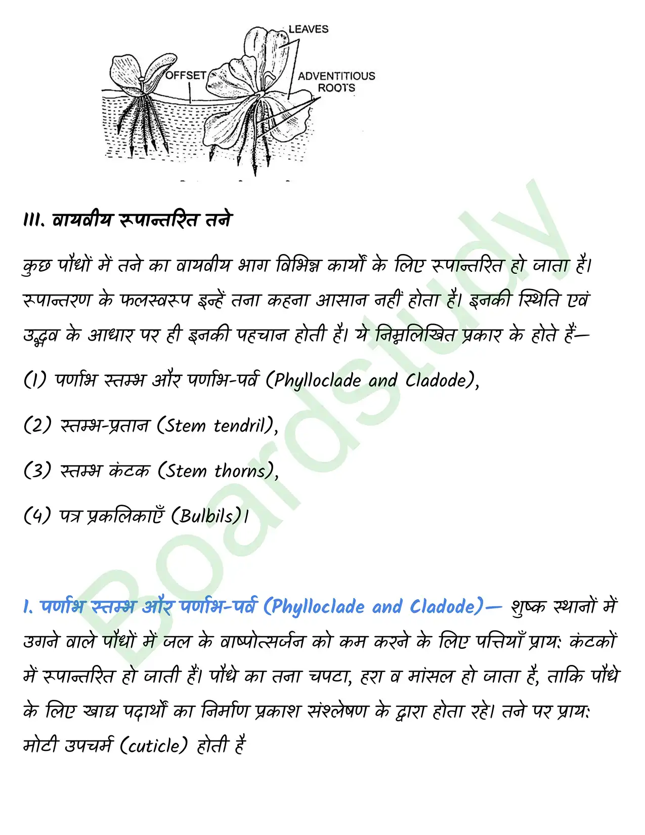 Biology Chapter 5 page 0016