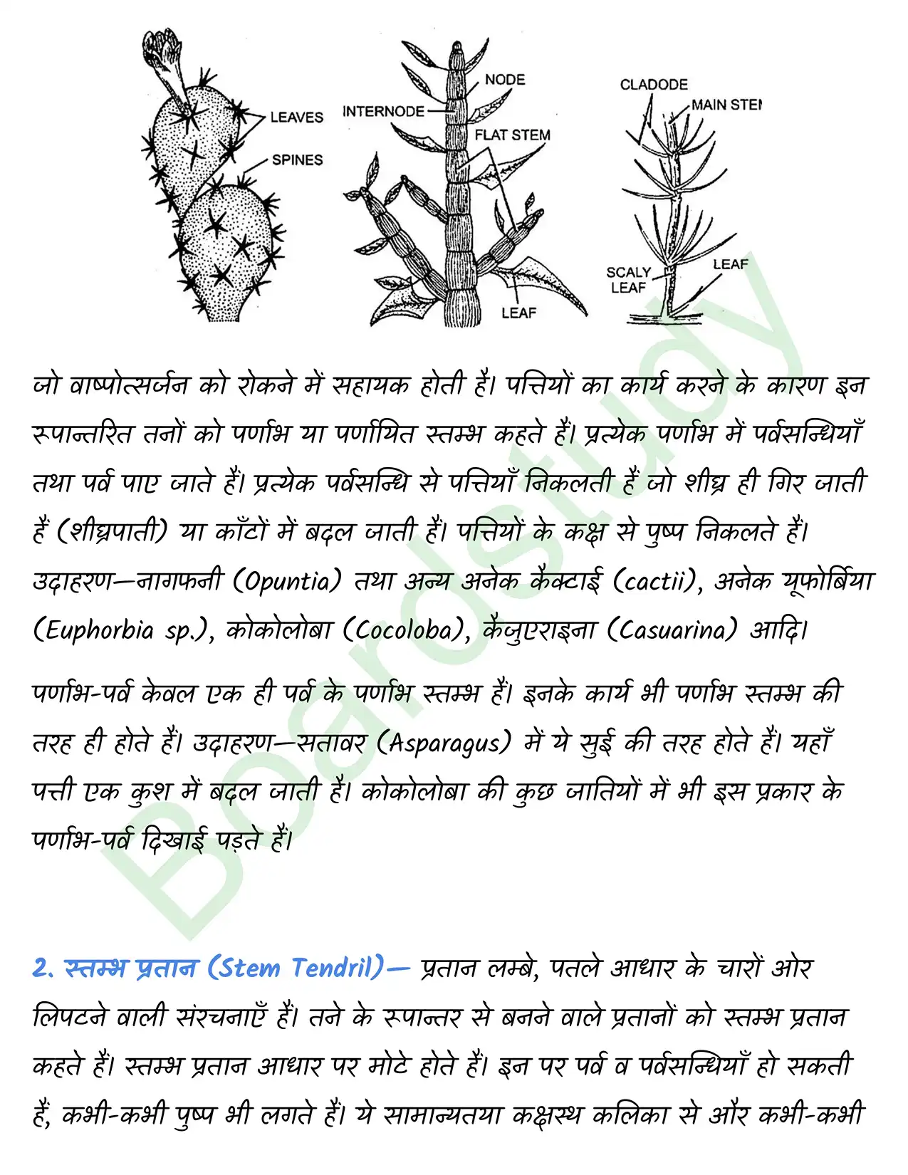 Biology Chapter 5 page 0017