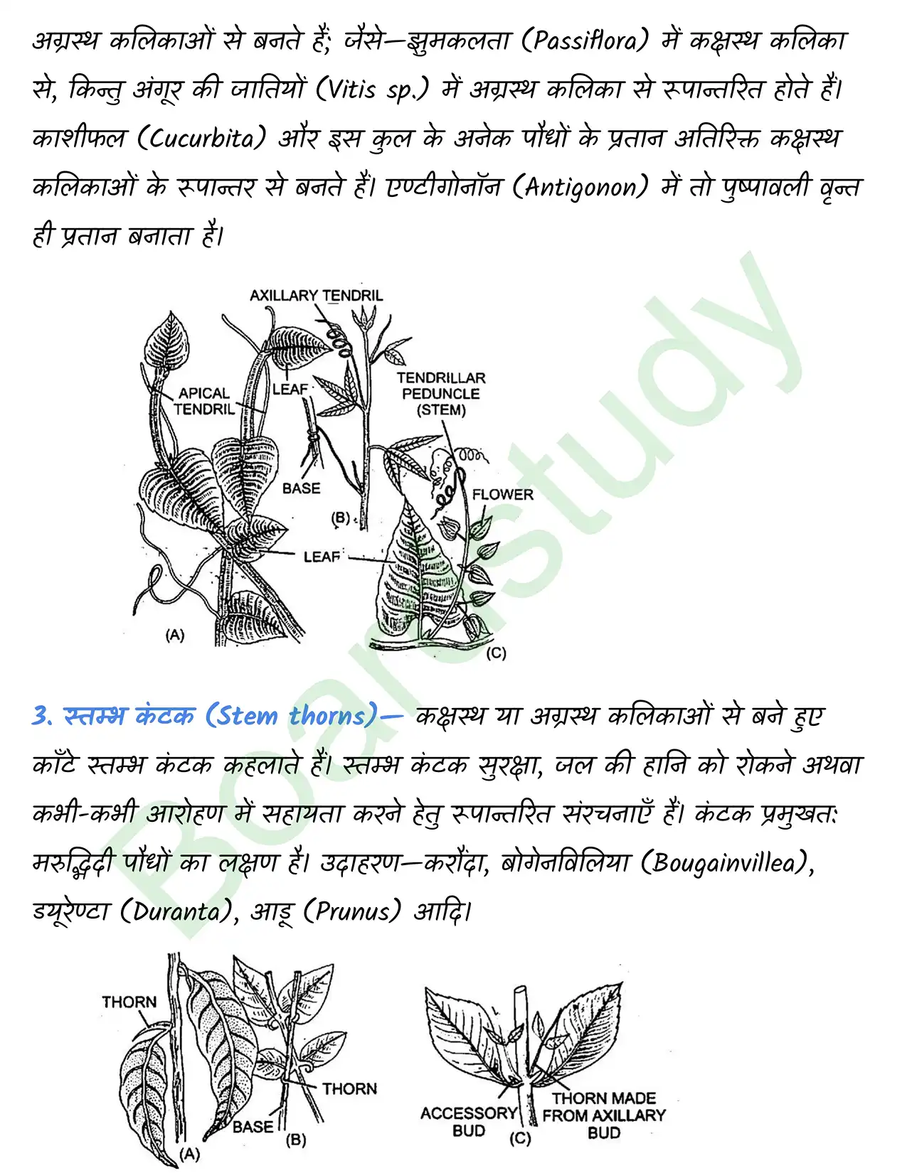 Biology Chapter 5 page 0018
