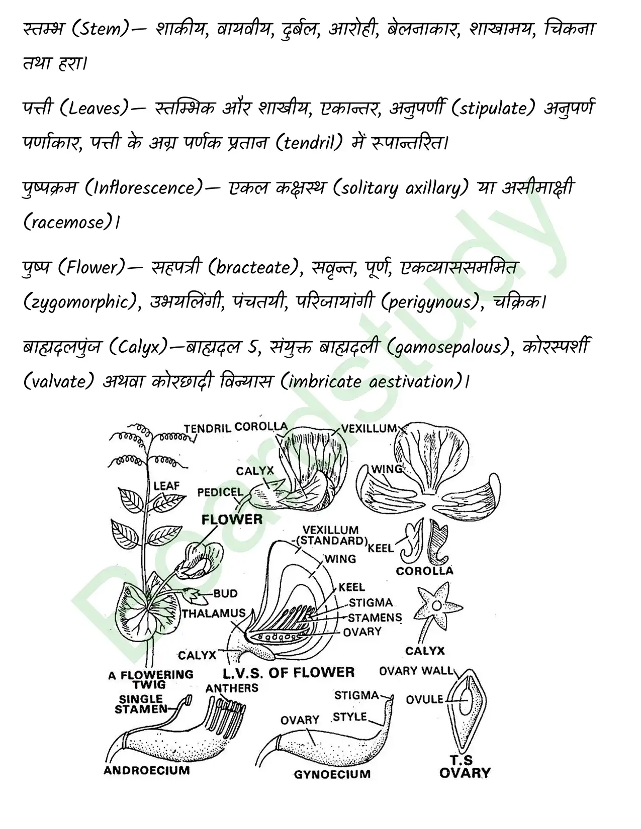 Biology Chapter 5 page 0020