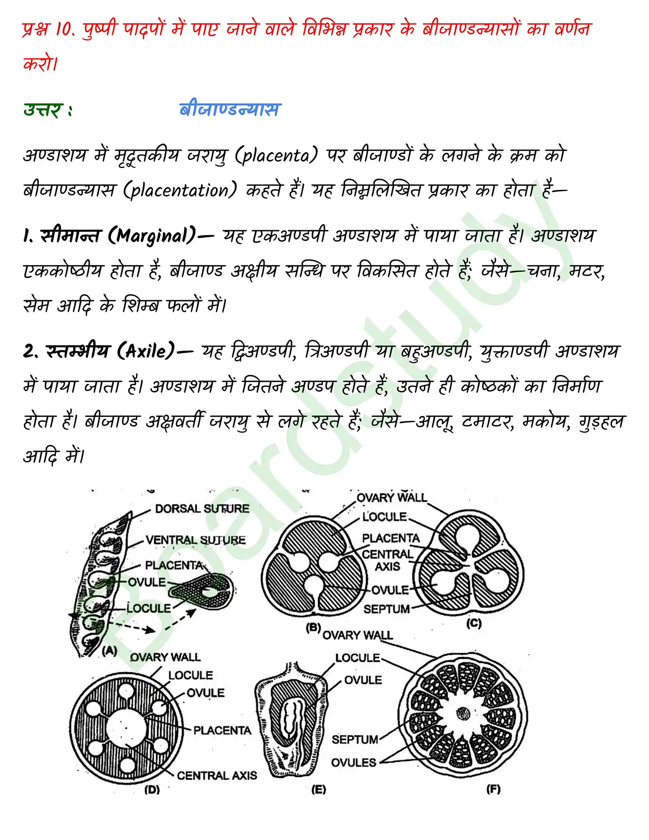 Biology Chapter 5 page 0024