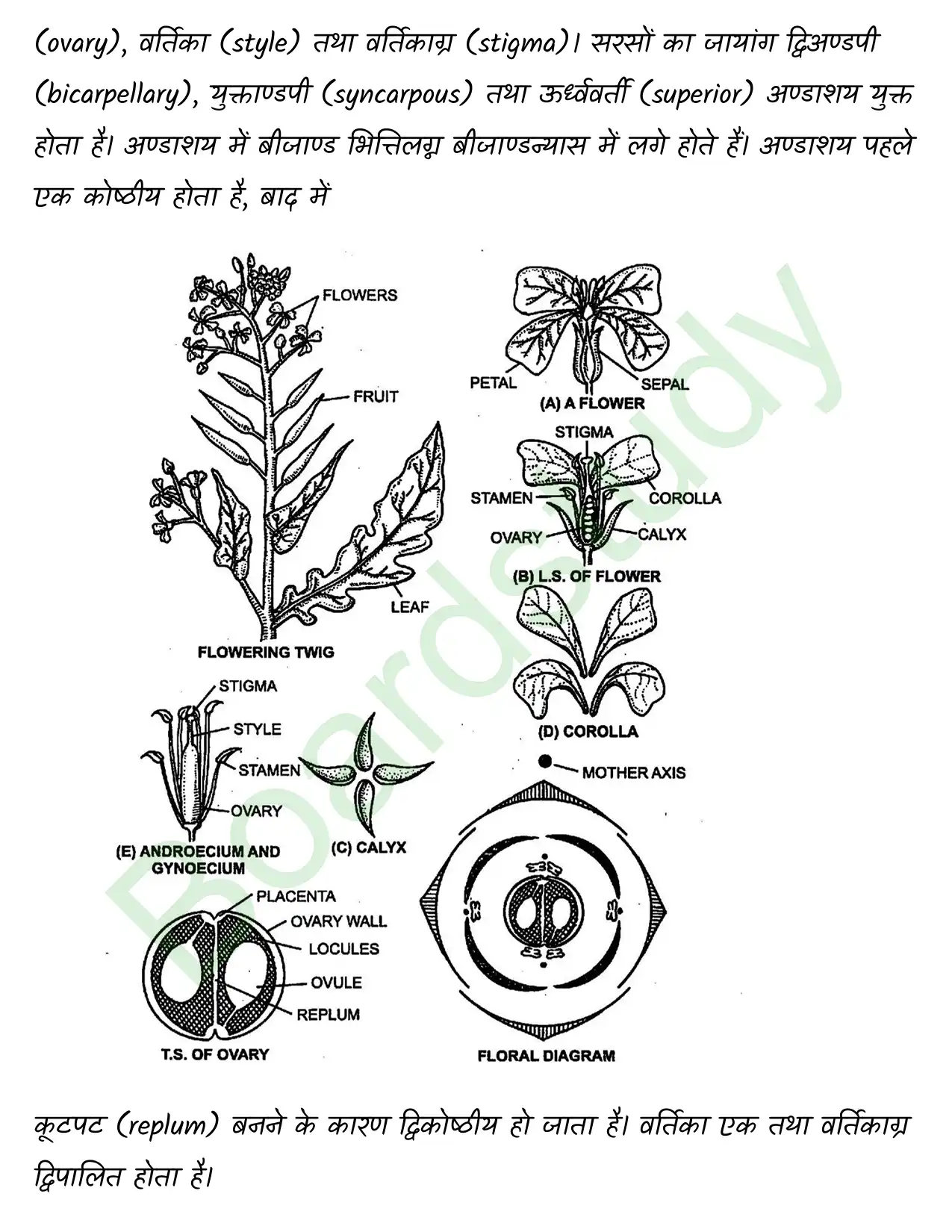 Biology Chapter 5 page 0027