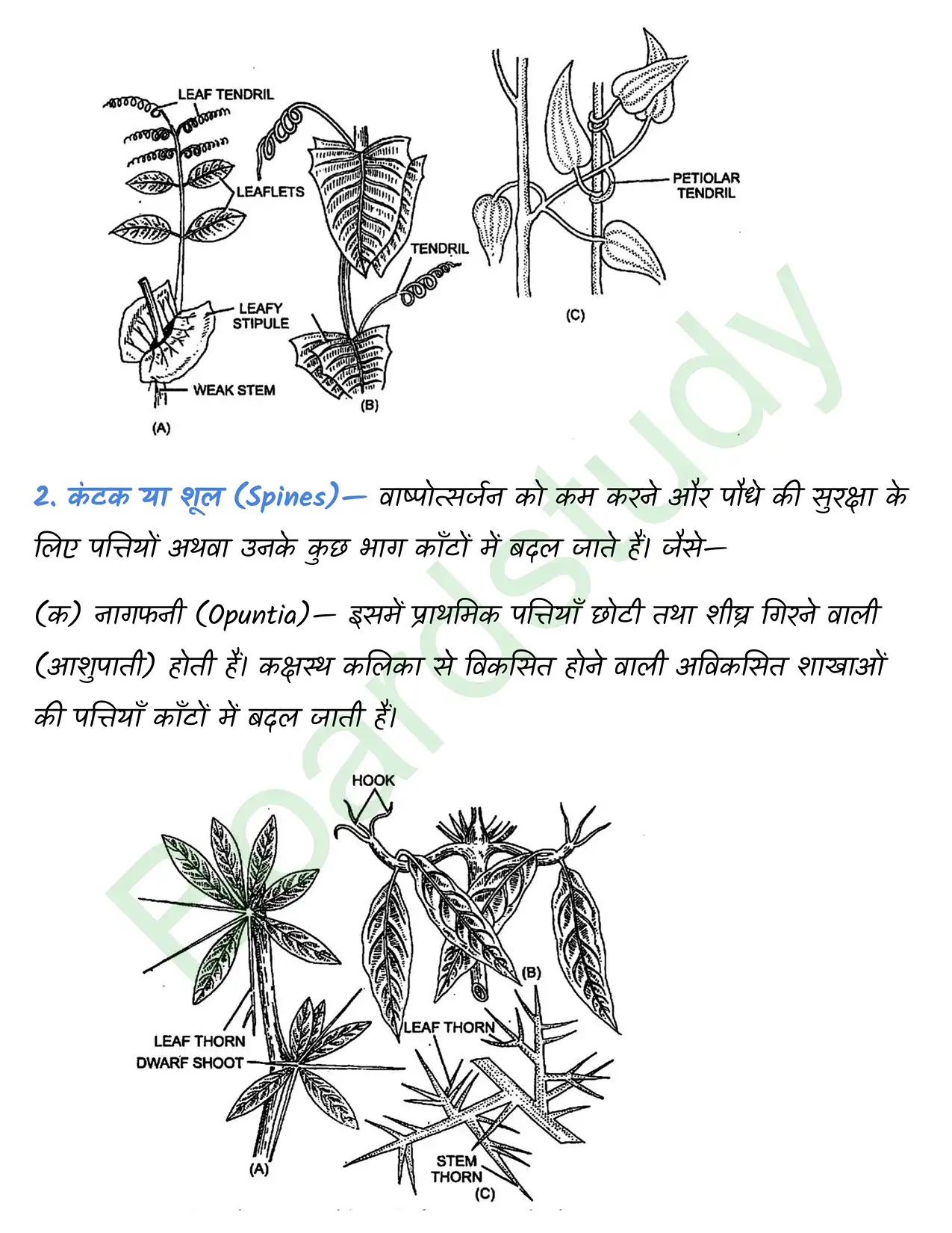 Biology Chapter 5 page 0029
