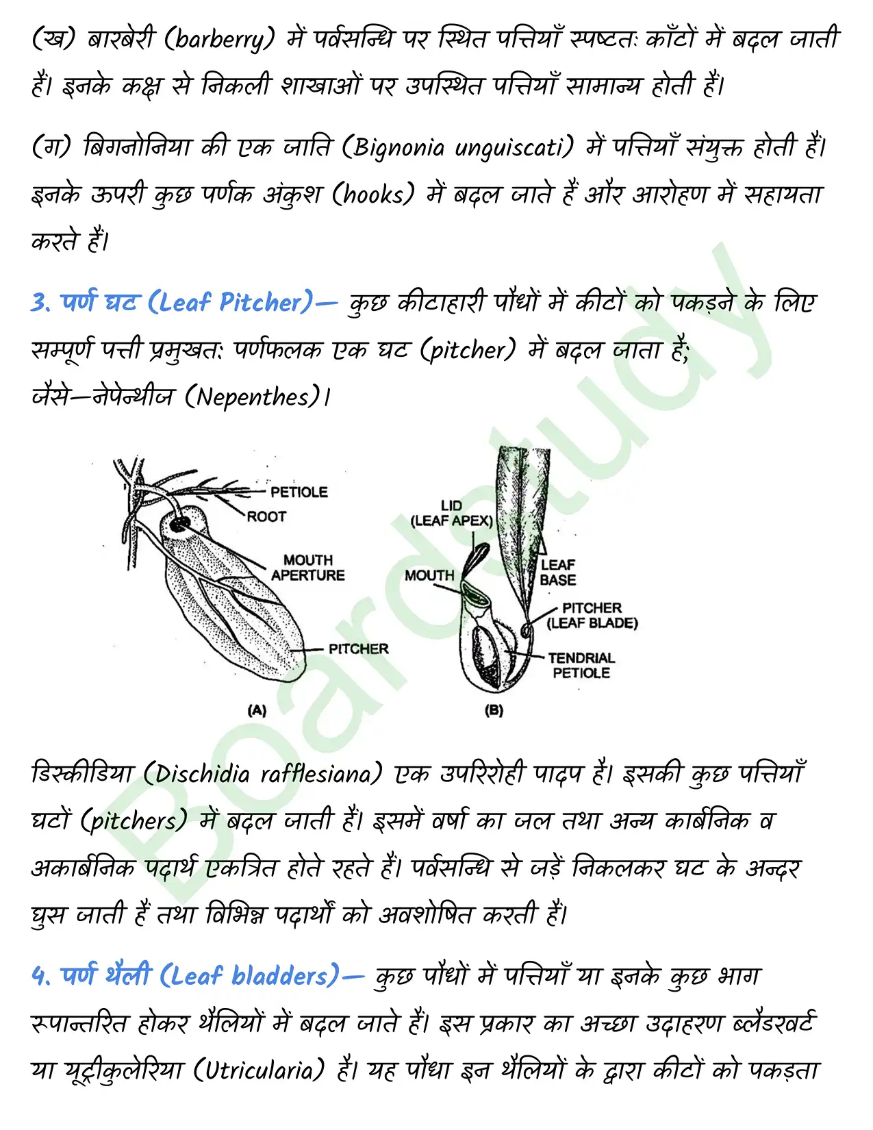 Biology Chapter 5 page 0030