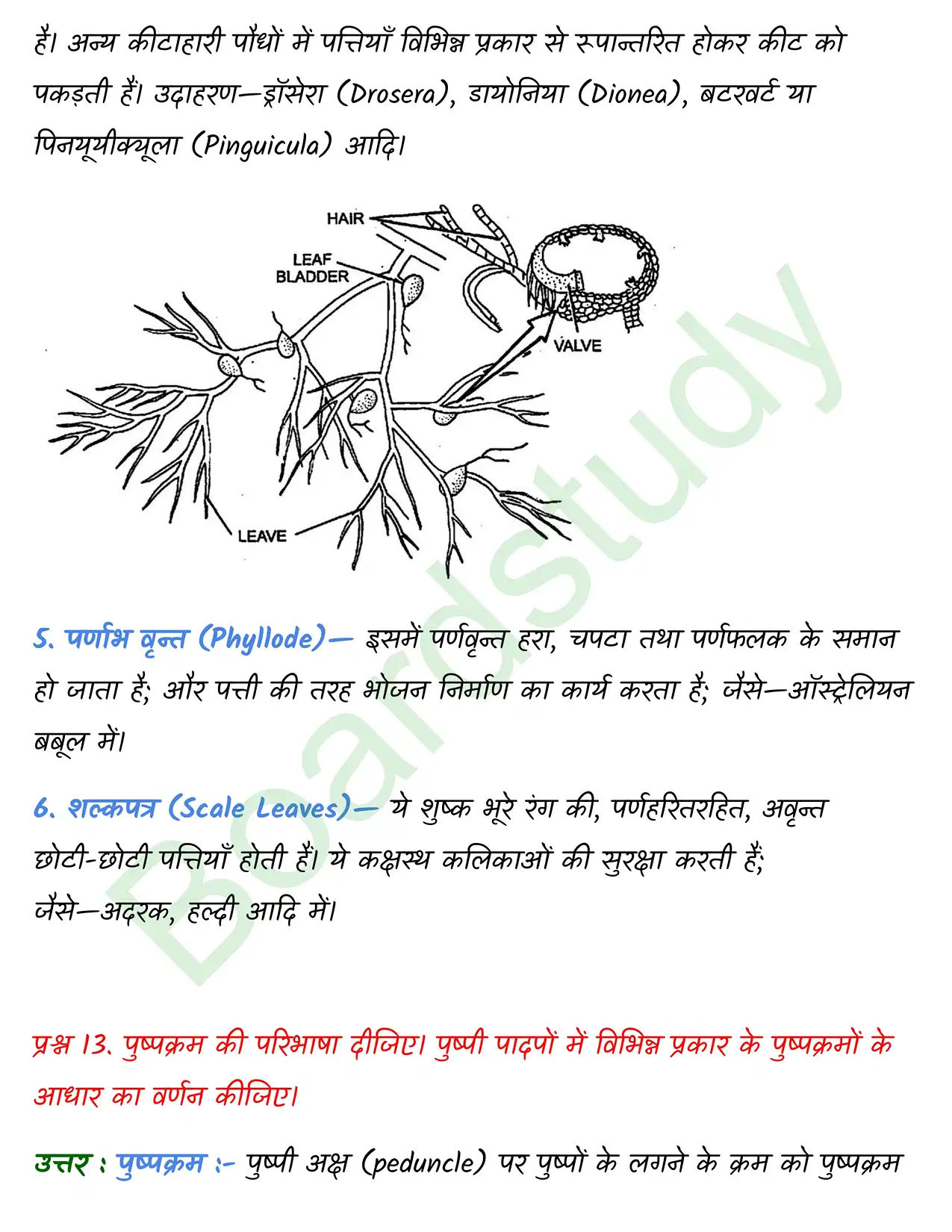 Biology Chapter 5 page 0031