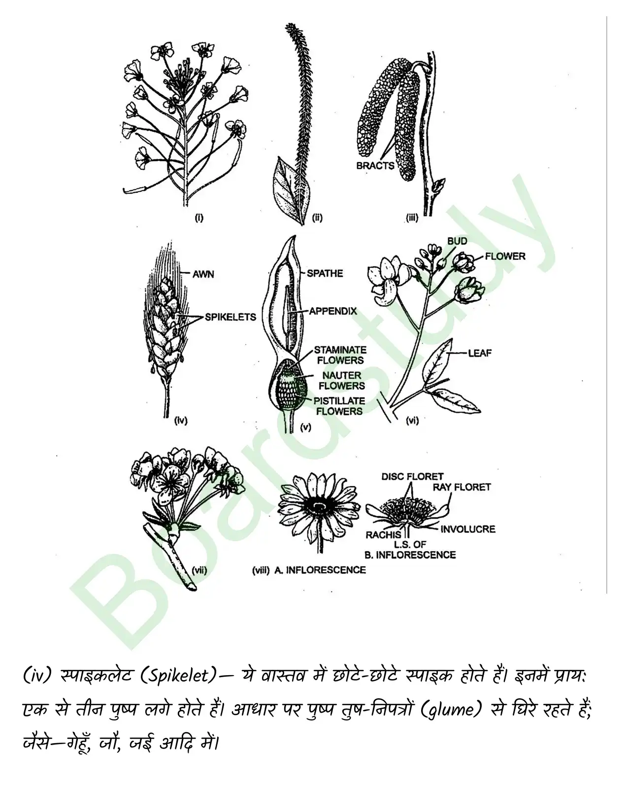 Biology Chapter 5 page 0033