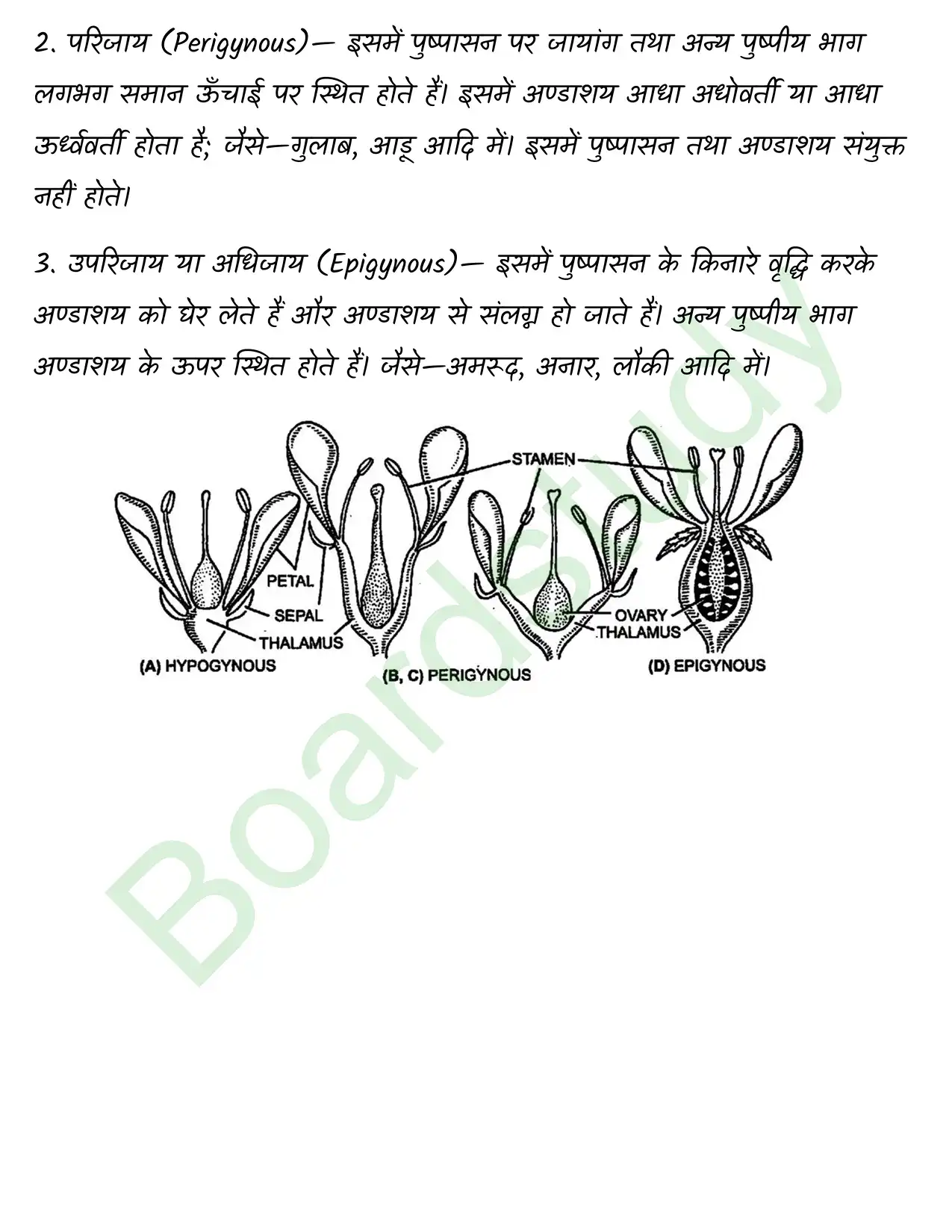 Biology Chapter 5 page 0037