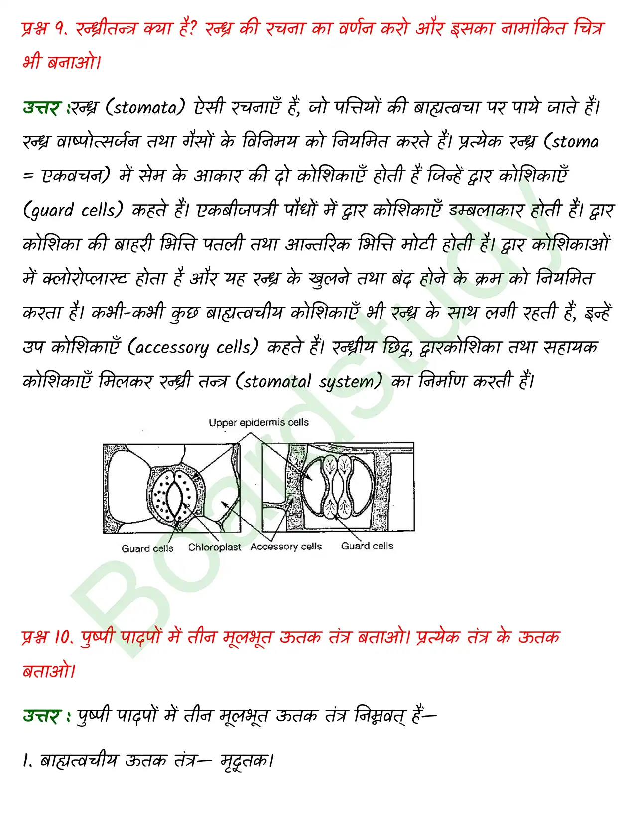 Biology Chapter 6 page 0017