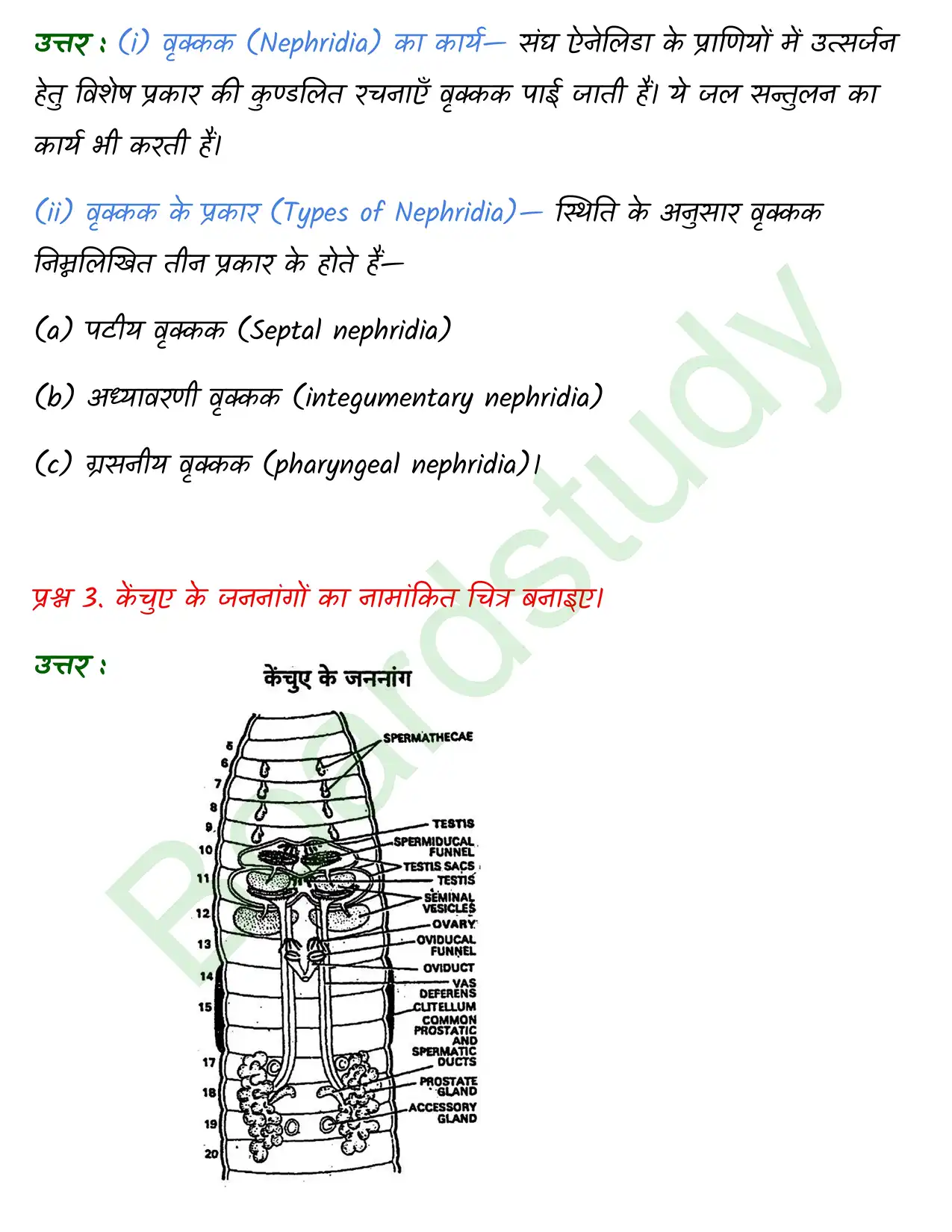 Biology Chapter 7. page 0002