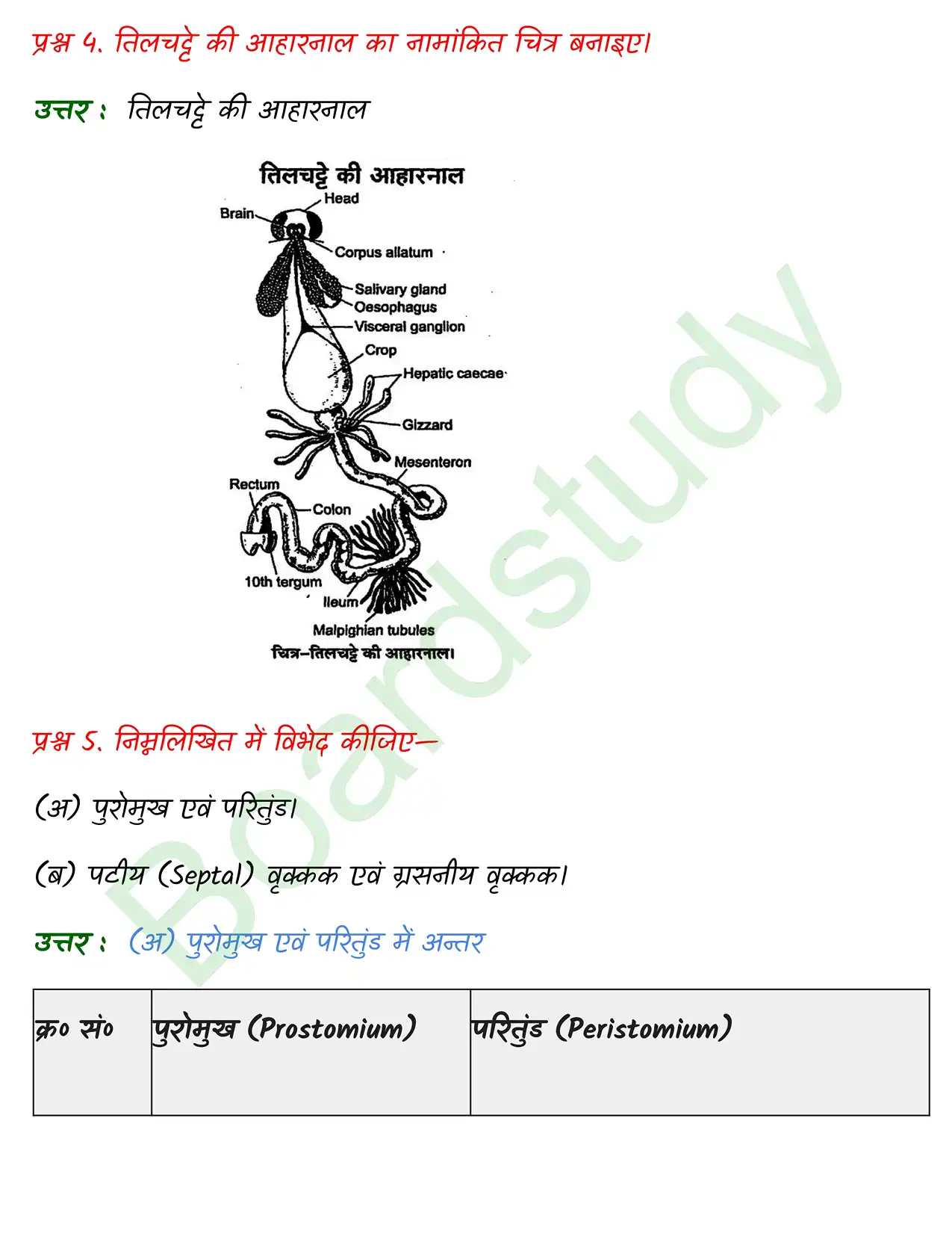 Biology Chapter 7. page 0003