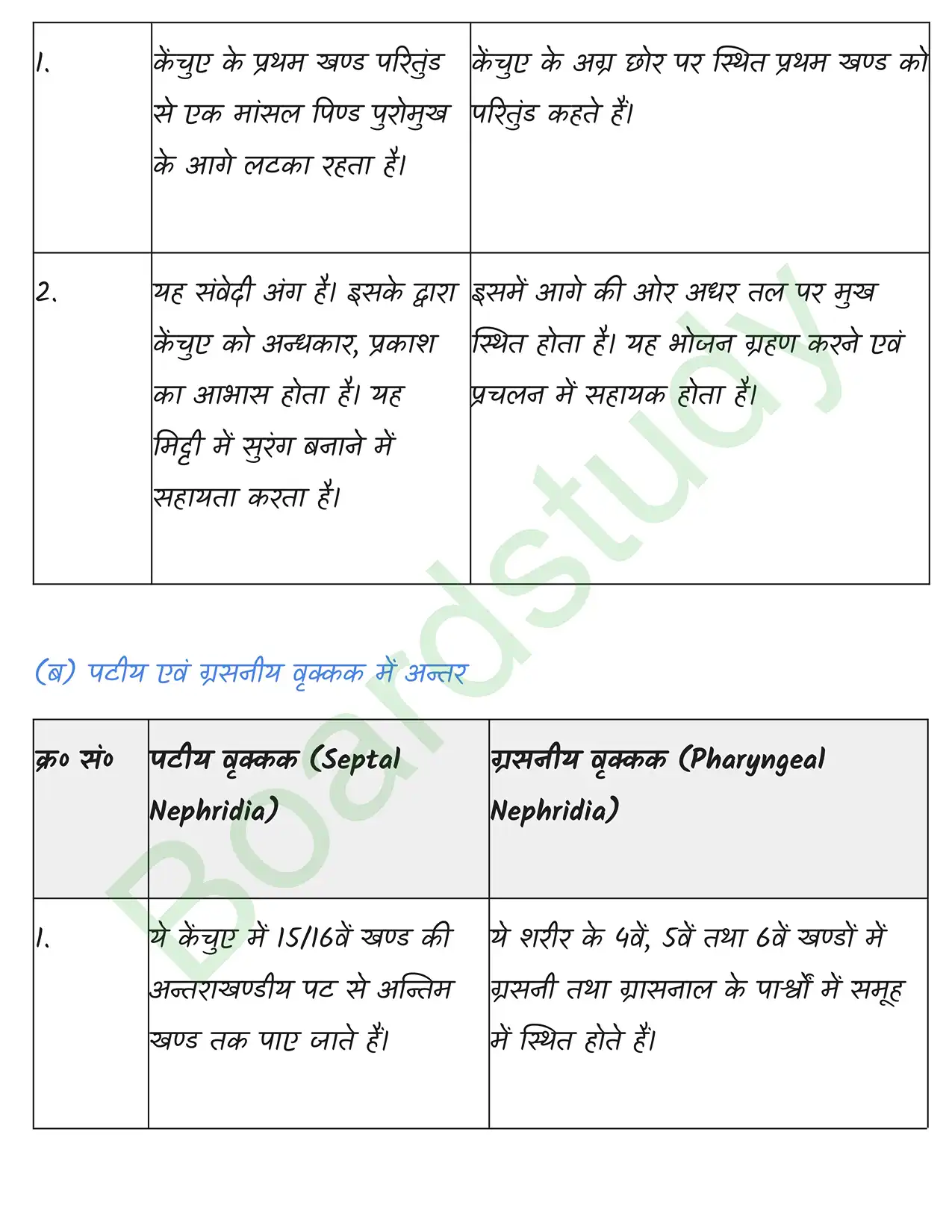 Biology Chapter 7. page 0004