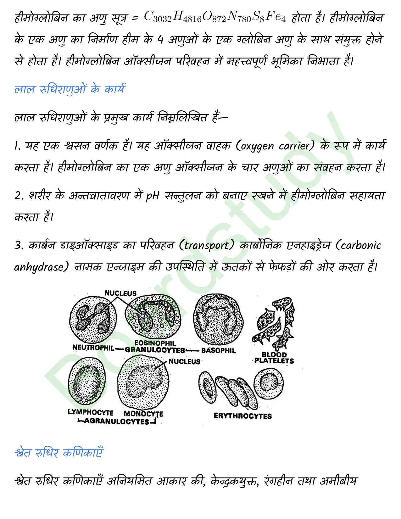 Biology Chapter 7. page 0007