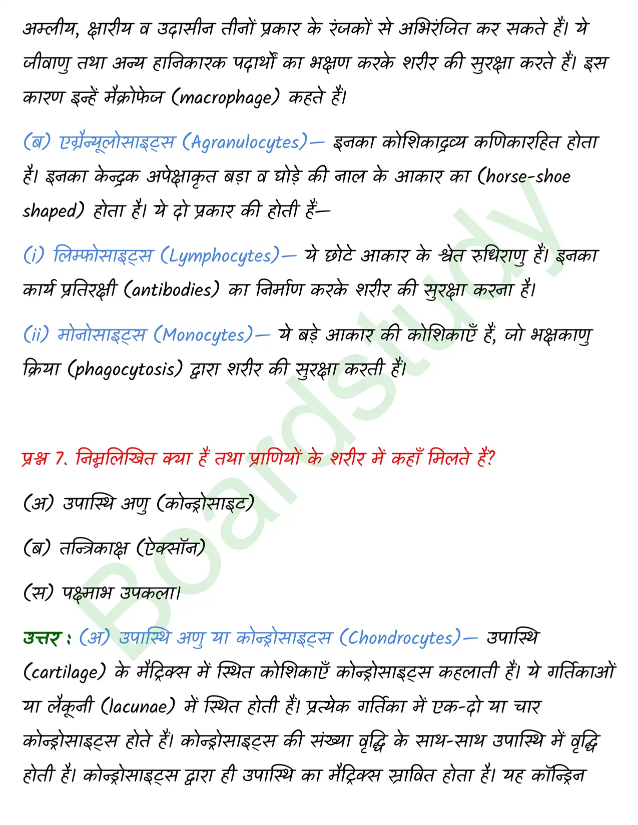 Biology Chapter 7. page 0009