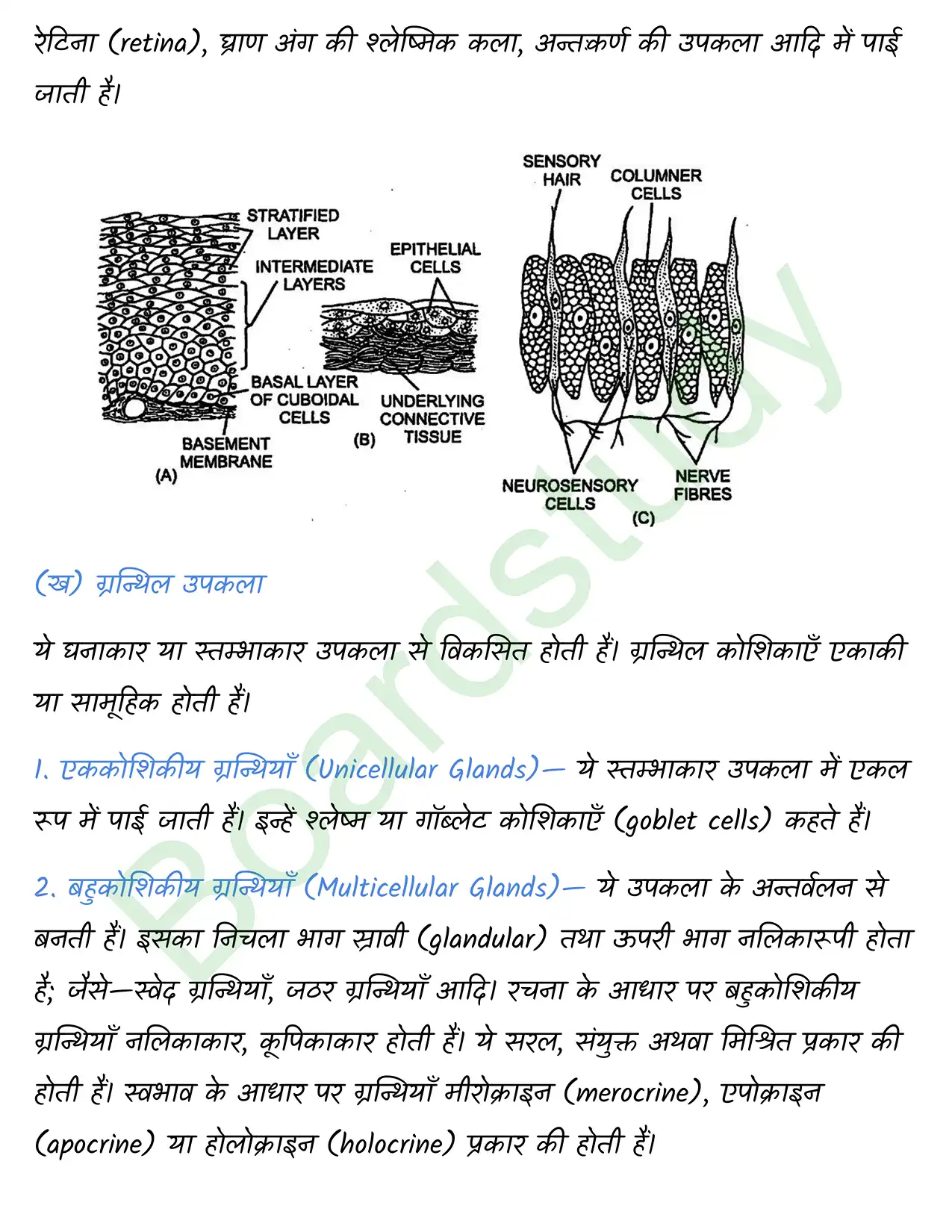 Biology Chapter 7. page 0014