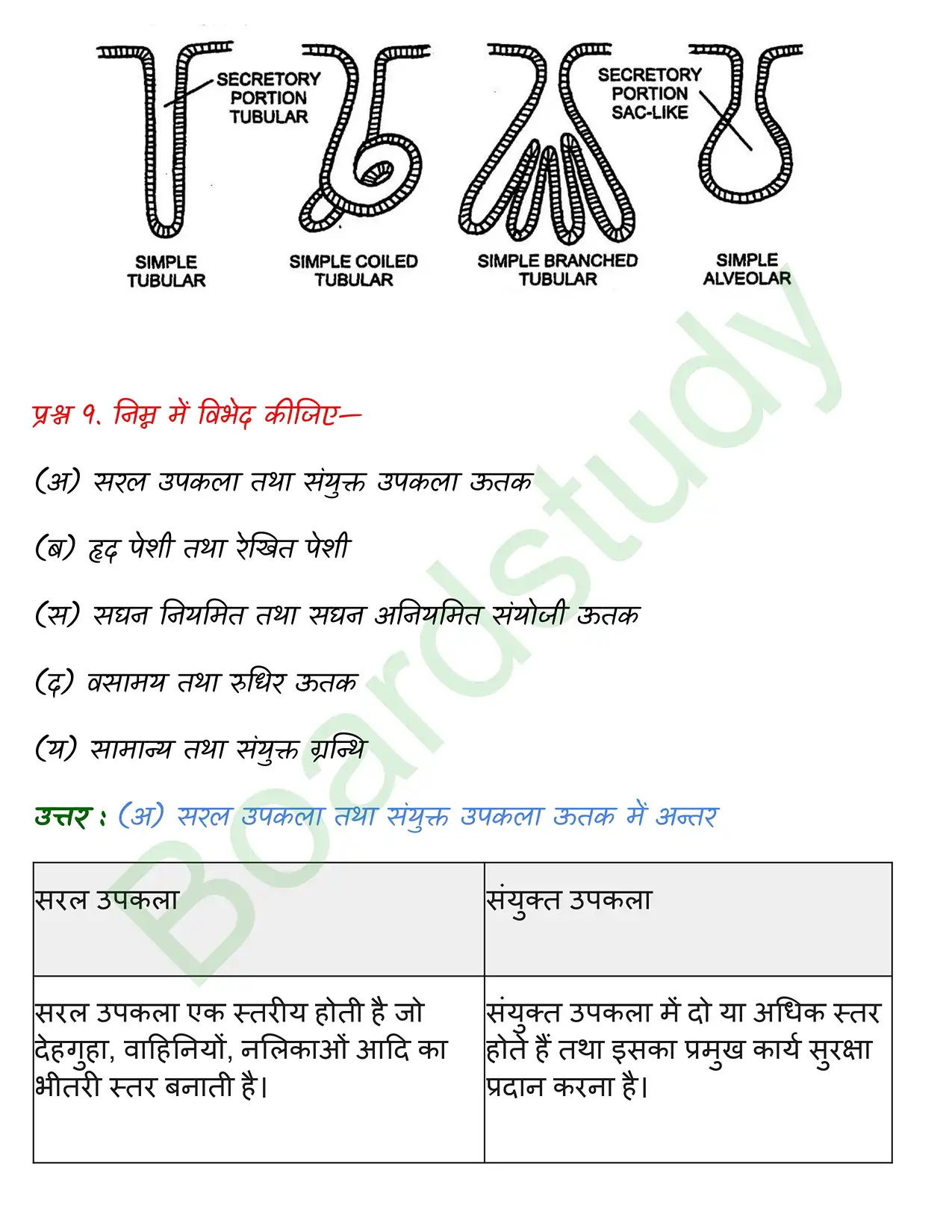 Biology Chapter 7. page 0015